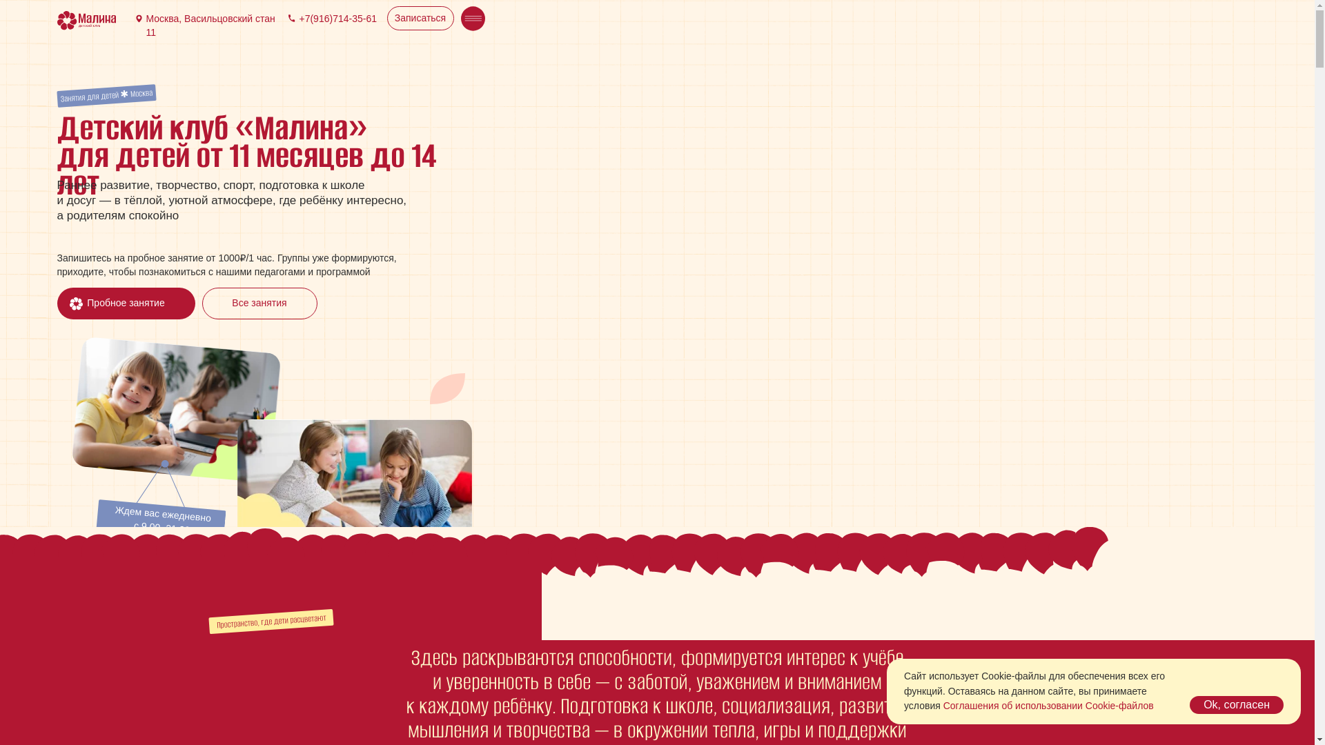 website screenshot of https://maliniumkids-club.ru/