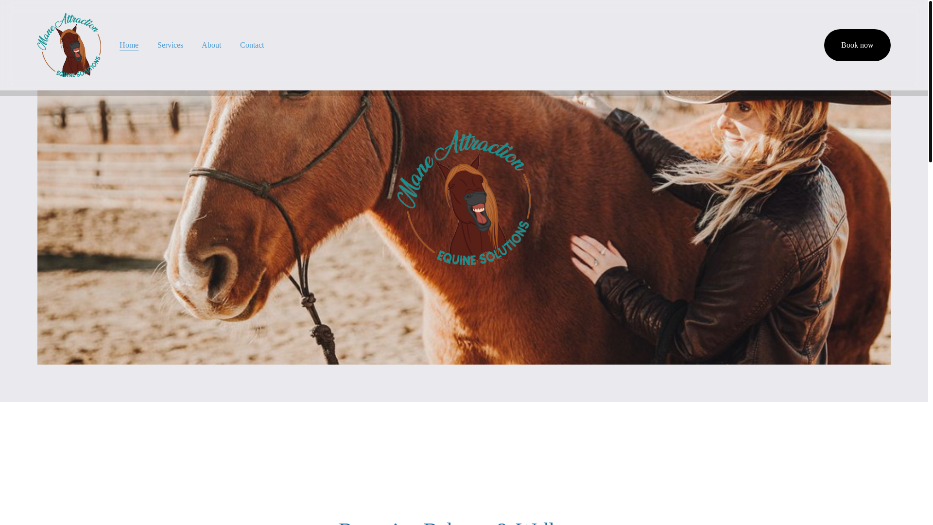 website screenshot of https://maneattractionequinesolutions.com/