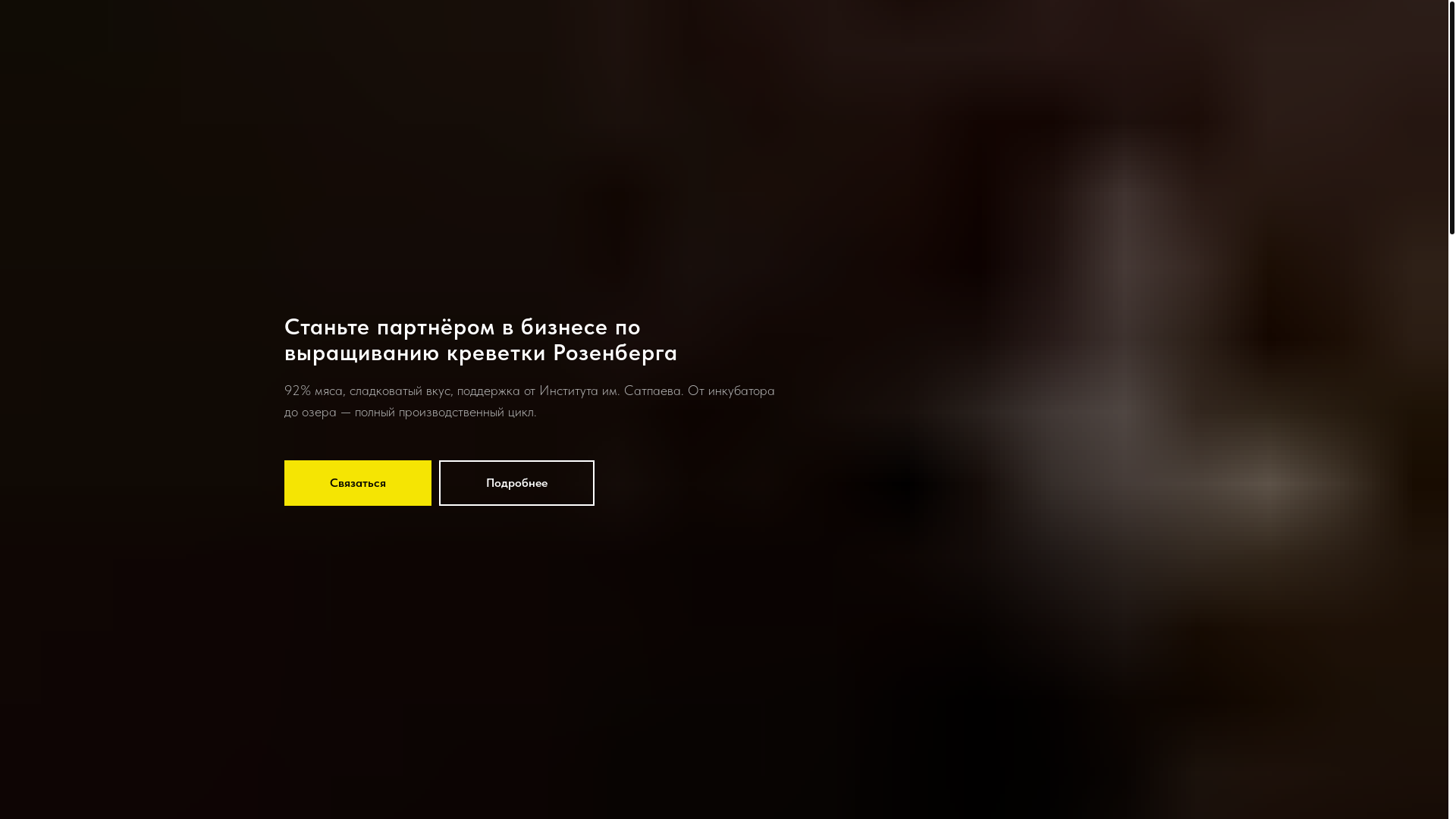 website screenshot of https://schwarzproduction.kz/