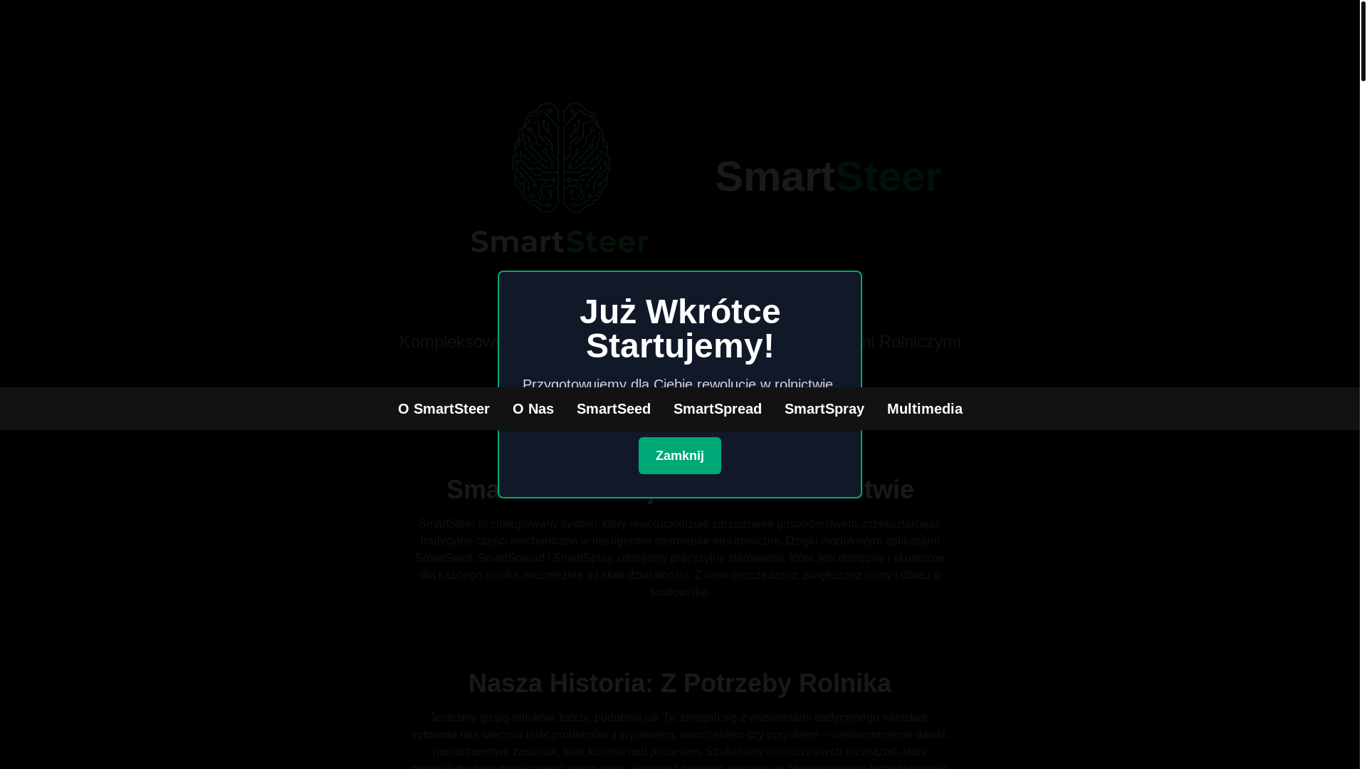 website screenshot of https://smartsteer.eu/