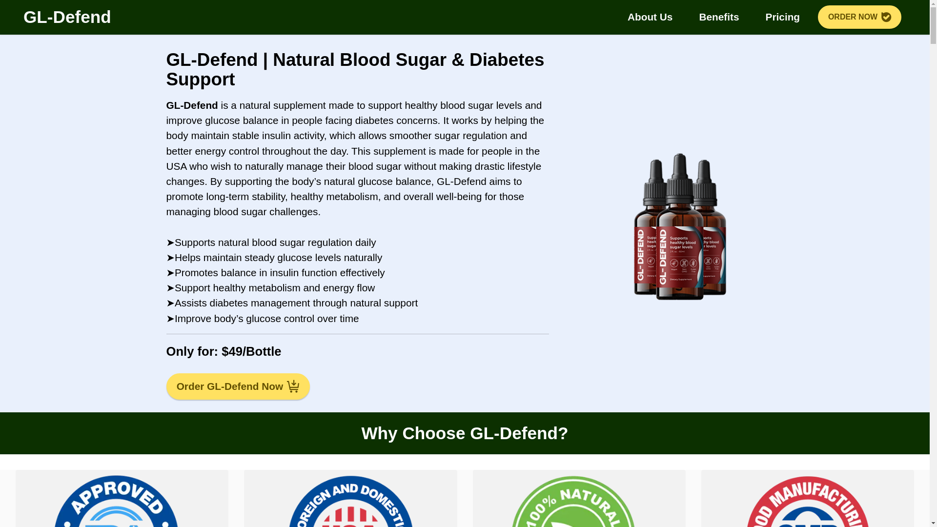 website screenshot of https://us-gldefend.us/