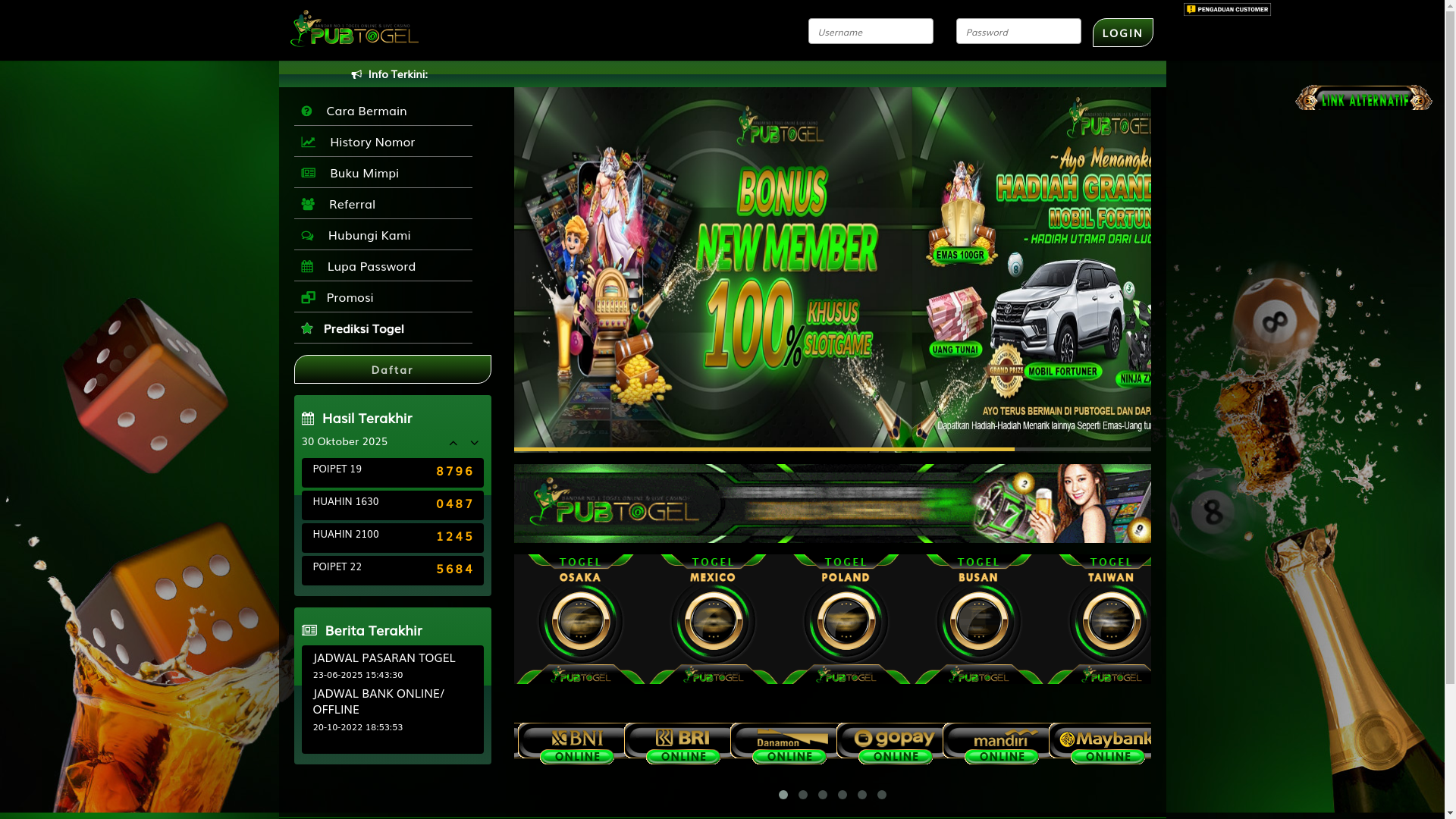 website screenshot of https://pubtogel.icu/