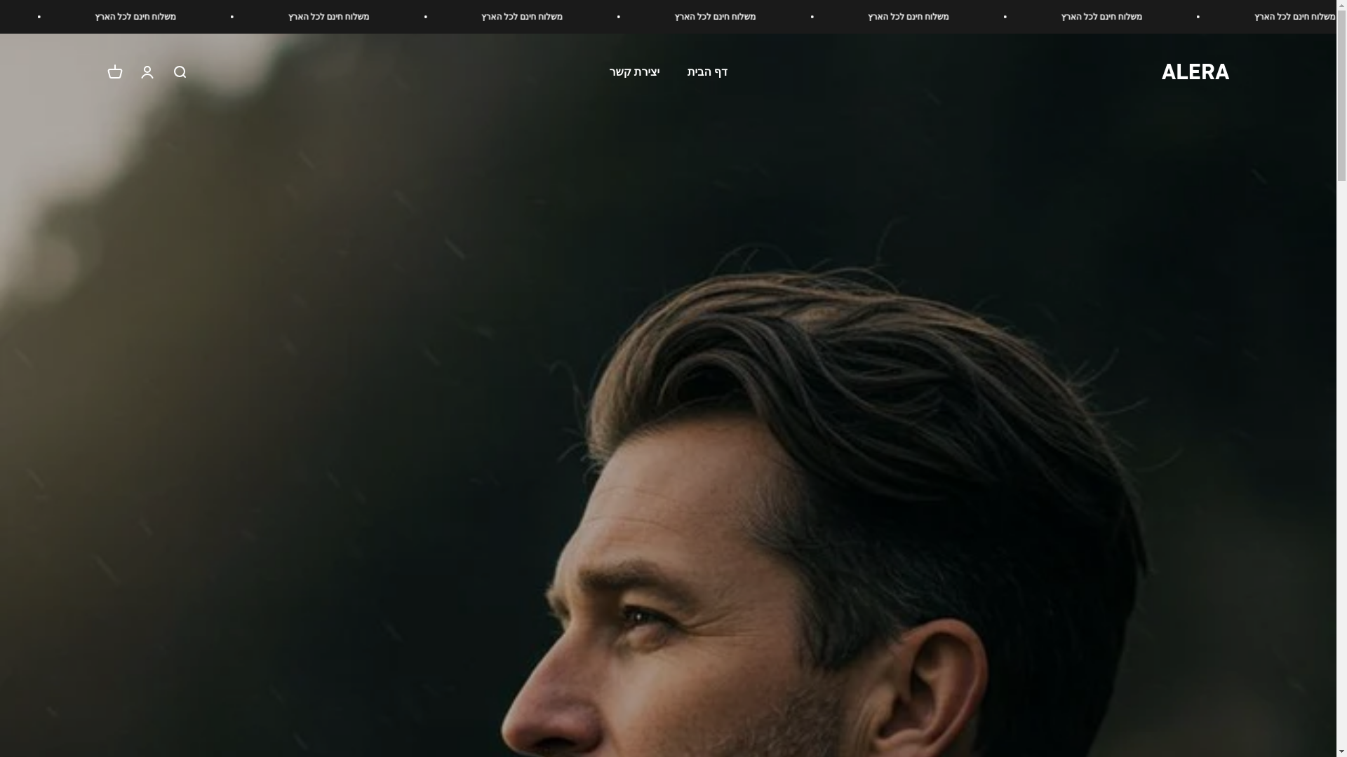 website screenshot of https://alera-il.com/
