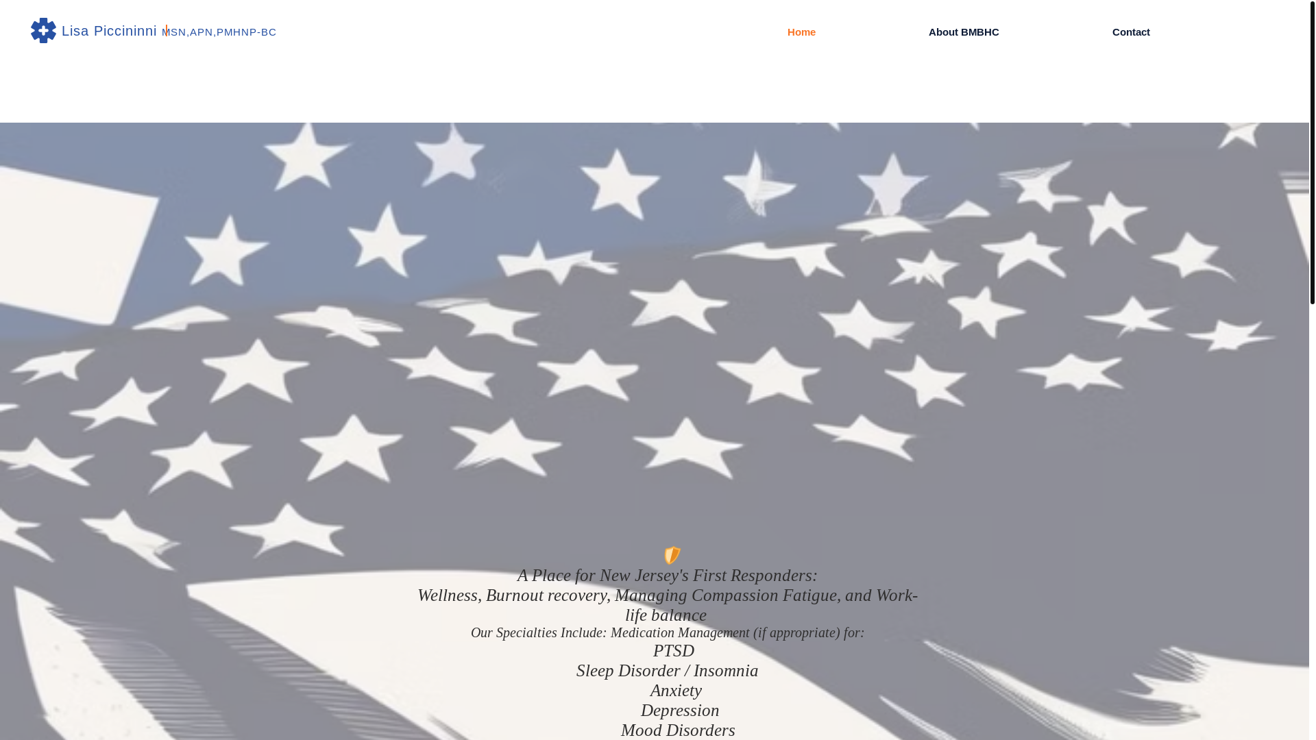 website screenshot of https://bluemaintenacebhc.com/