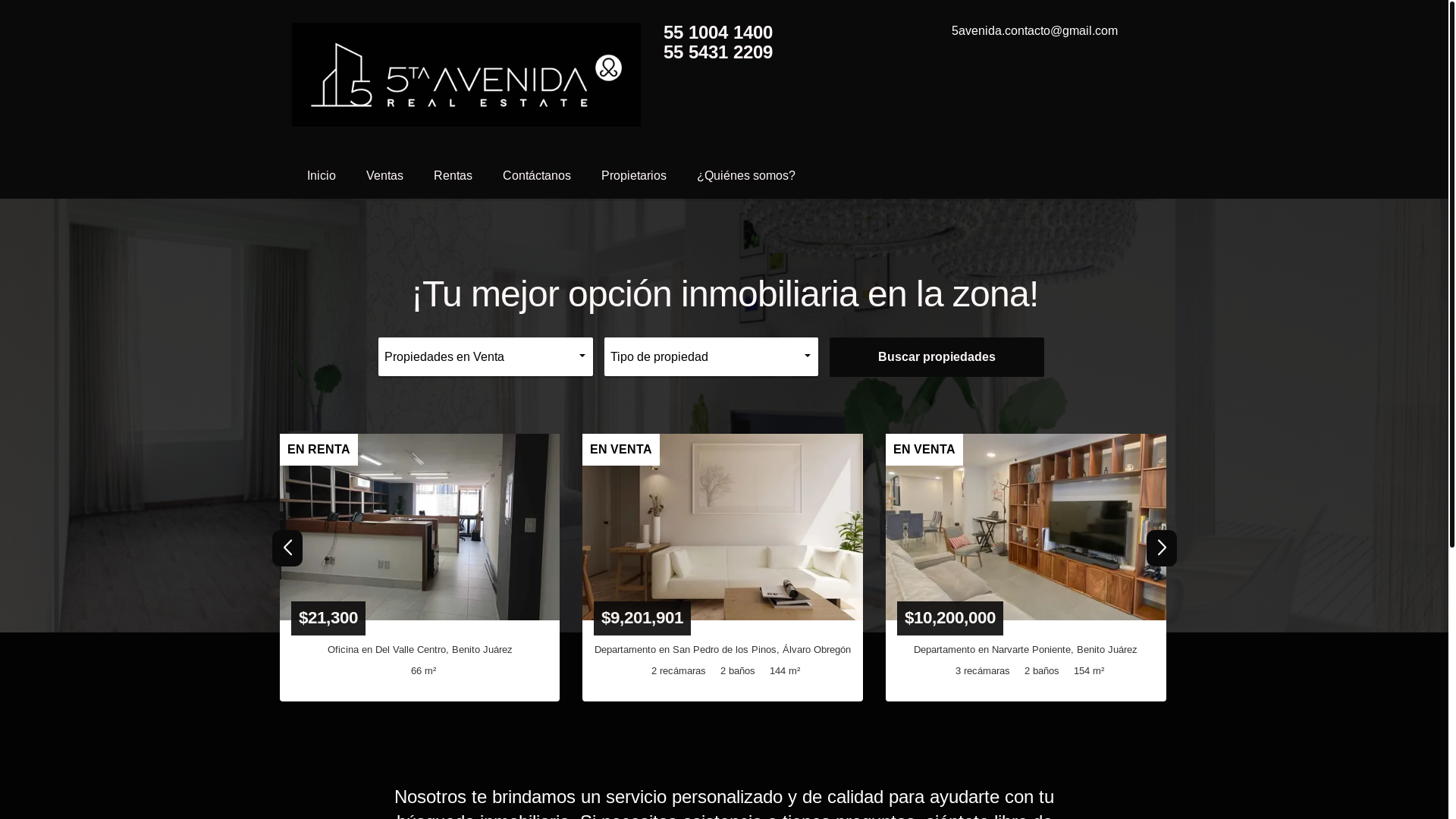 website screenshot of https://5avenida.com.mx/