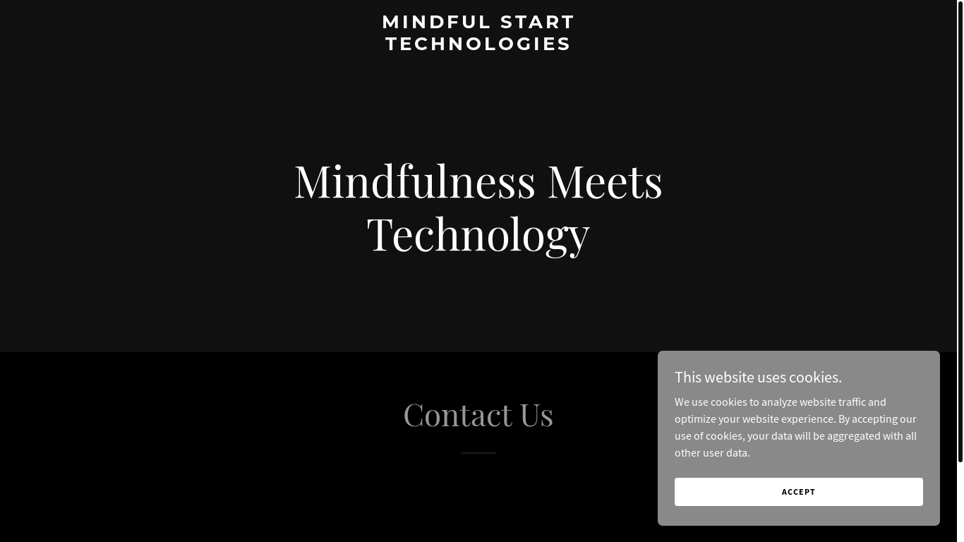 website screenshot of https://mindfulstarttechnologies.com/