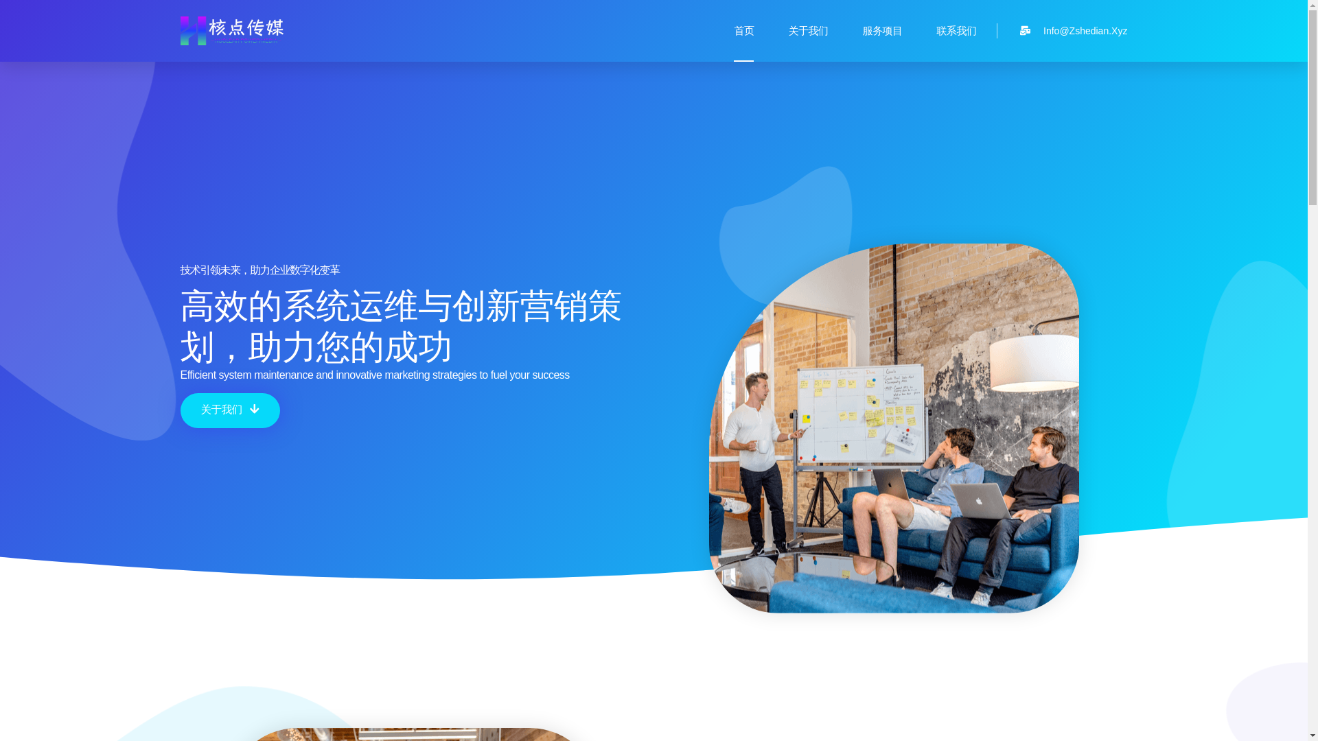 website screenshot of https://zshedian.cn/