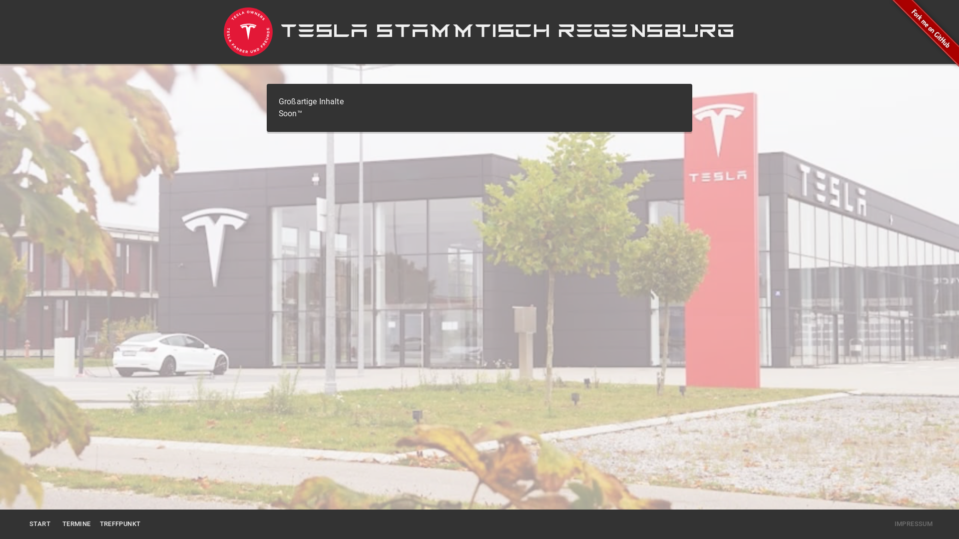 website screenshot of https://tesla-stammtisch-regensburg.de/