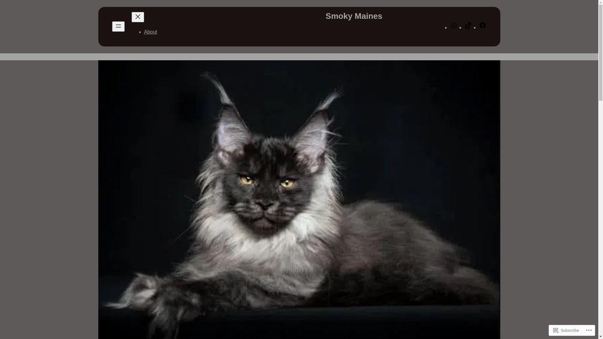 website screenshot of https://grandrealityslots.com/