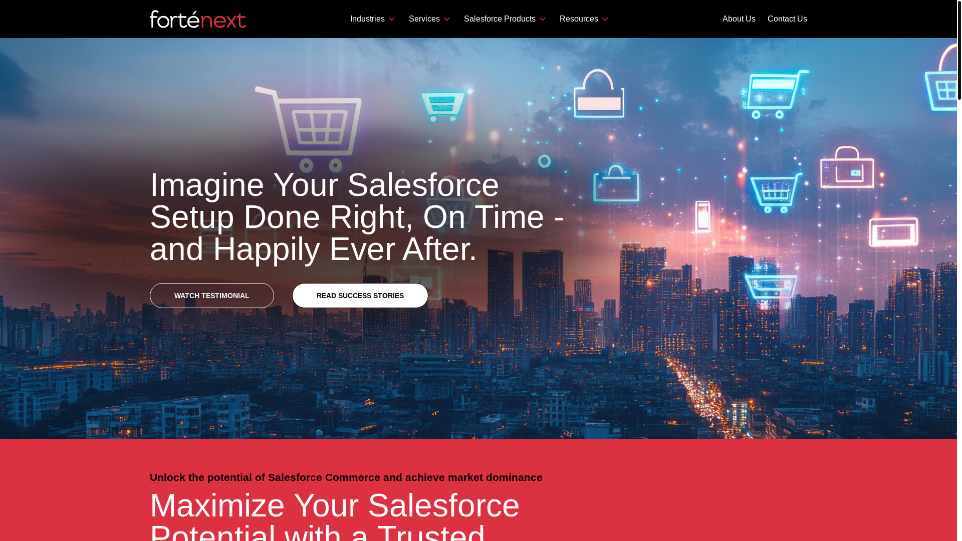 website screenshot of https://fortenextusa.com/