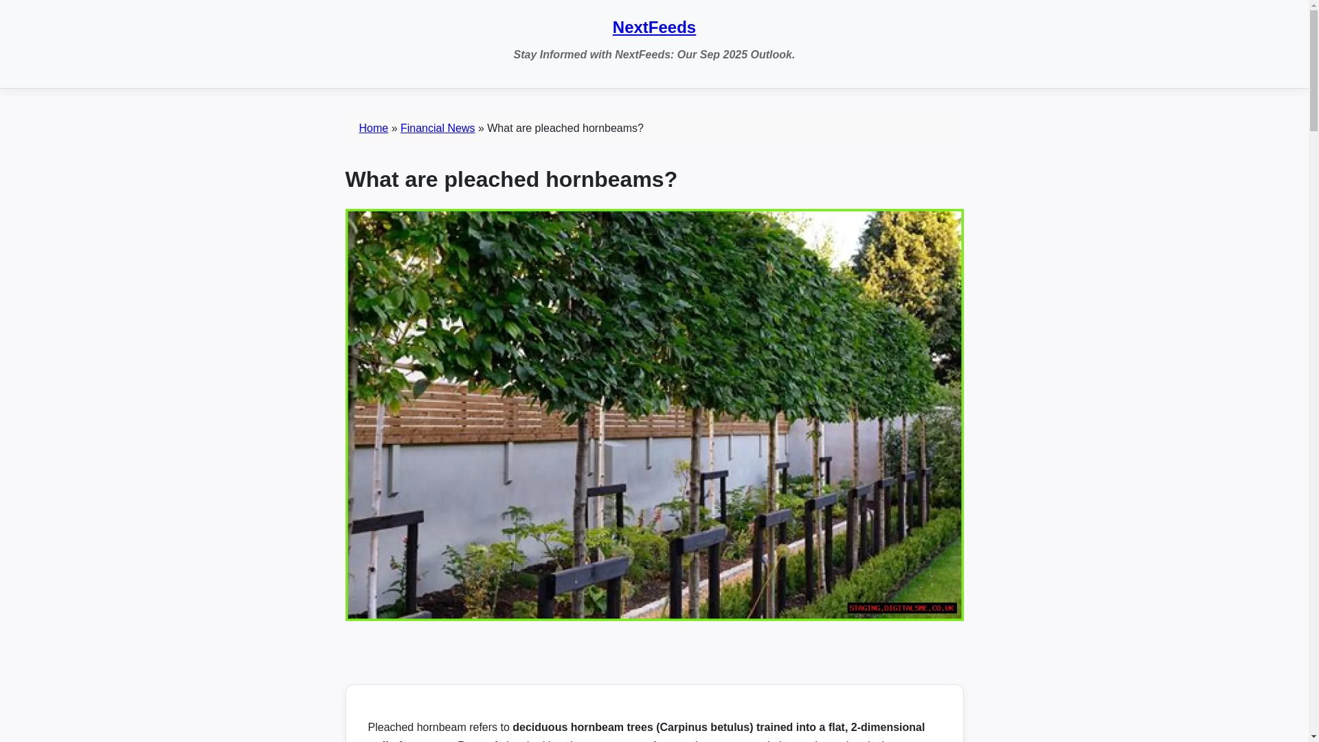 website screenshot of https://staging-digitalsme-koljlv.pages.dev/