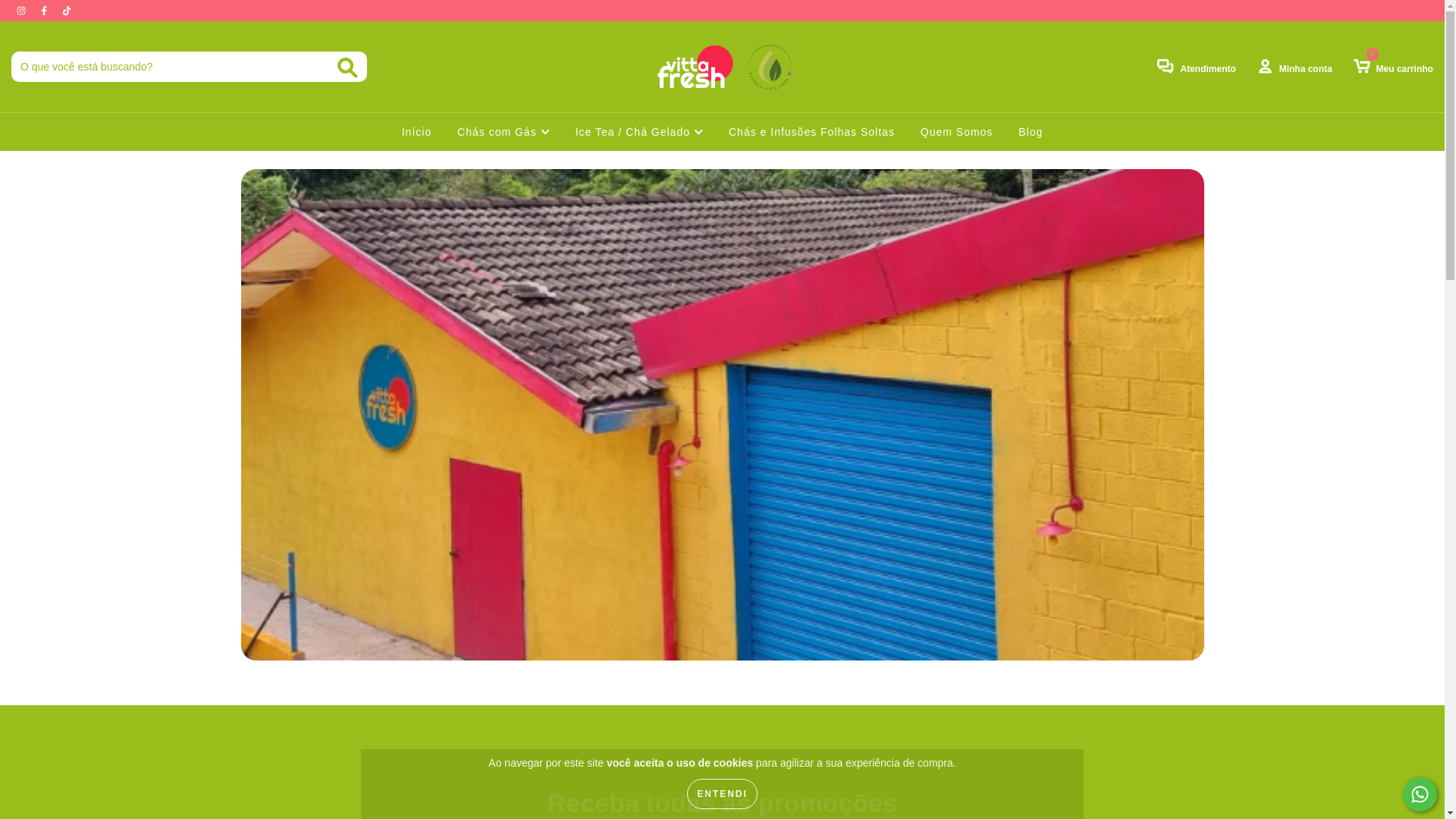 website screenshot of https://bebavitta.com.br/