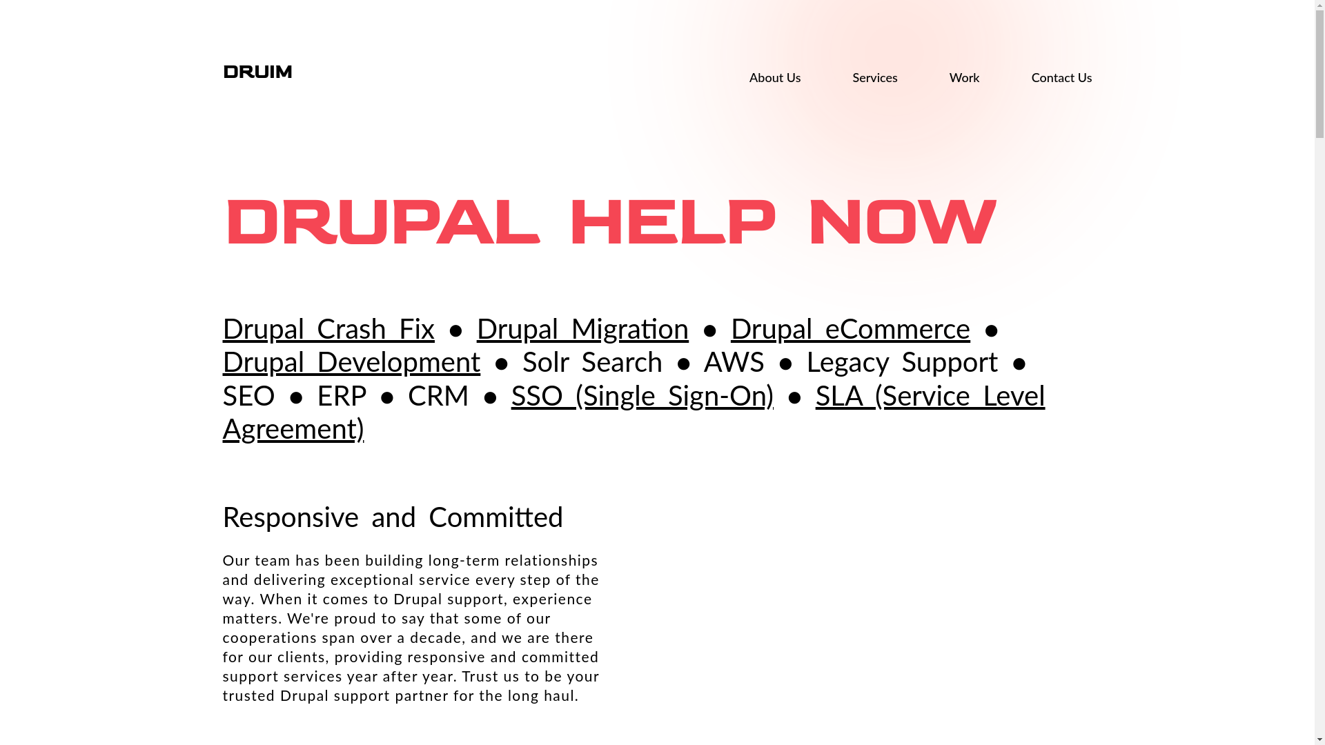 website screenshot of https://drupalrescue.pages.dev/