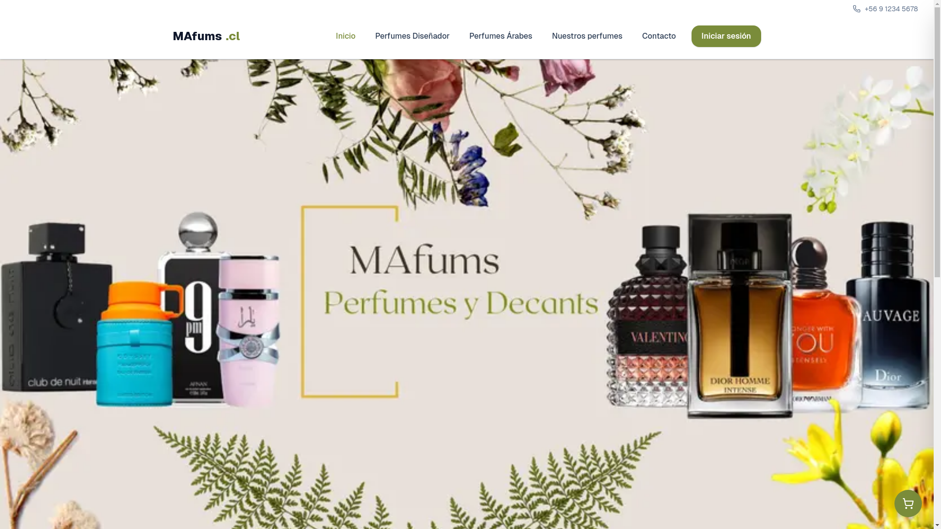 website screenshot of https://kuyval.cl/