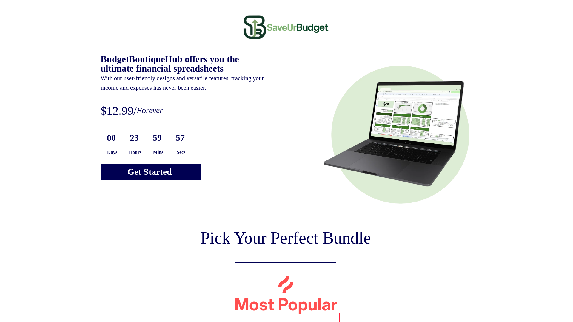 website screenshot of https://saveurbudget.com/