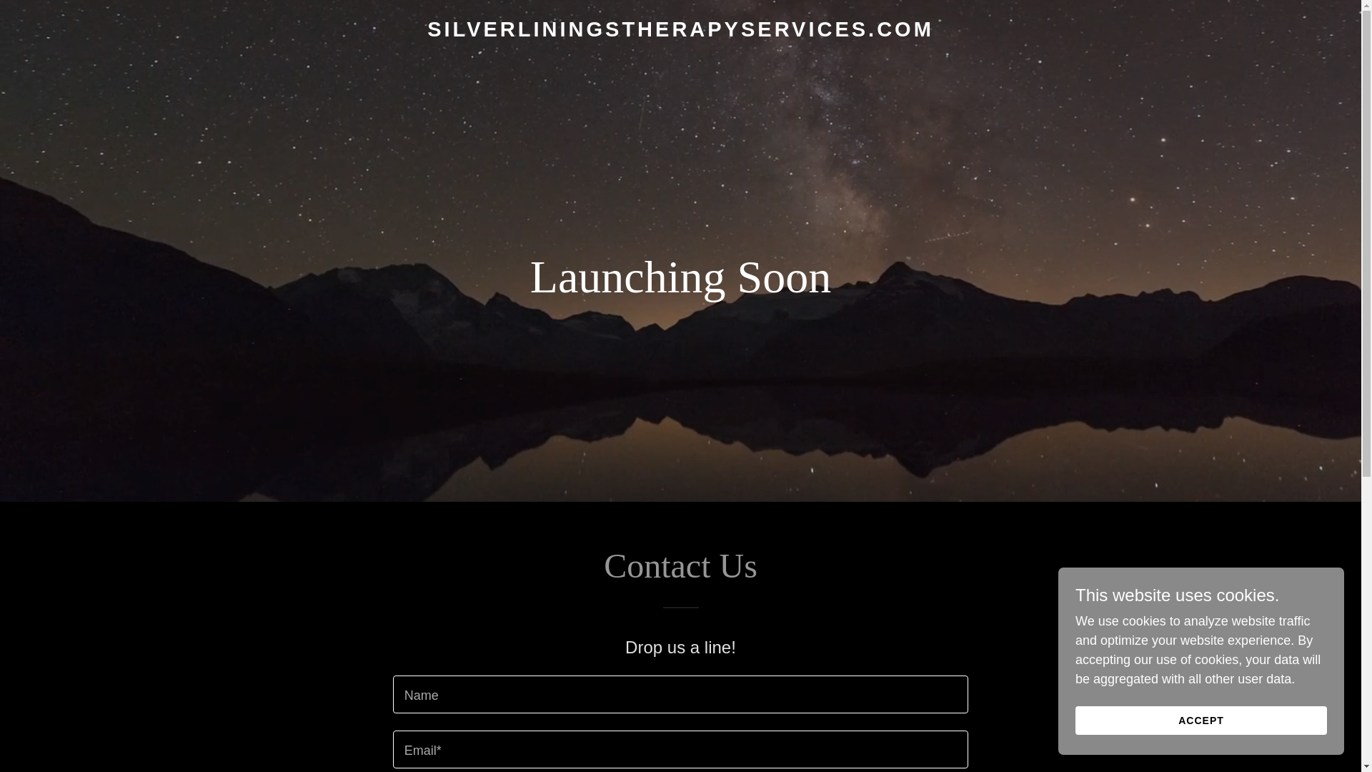 website screenshot of https://silverliningstherapyservices.com/