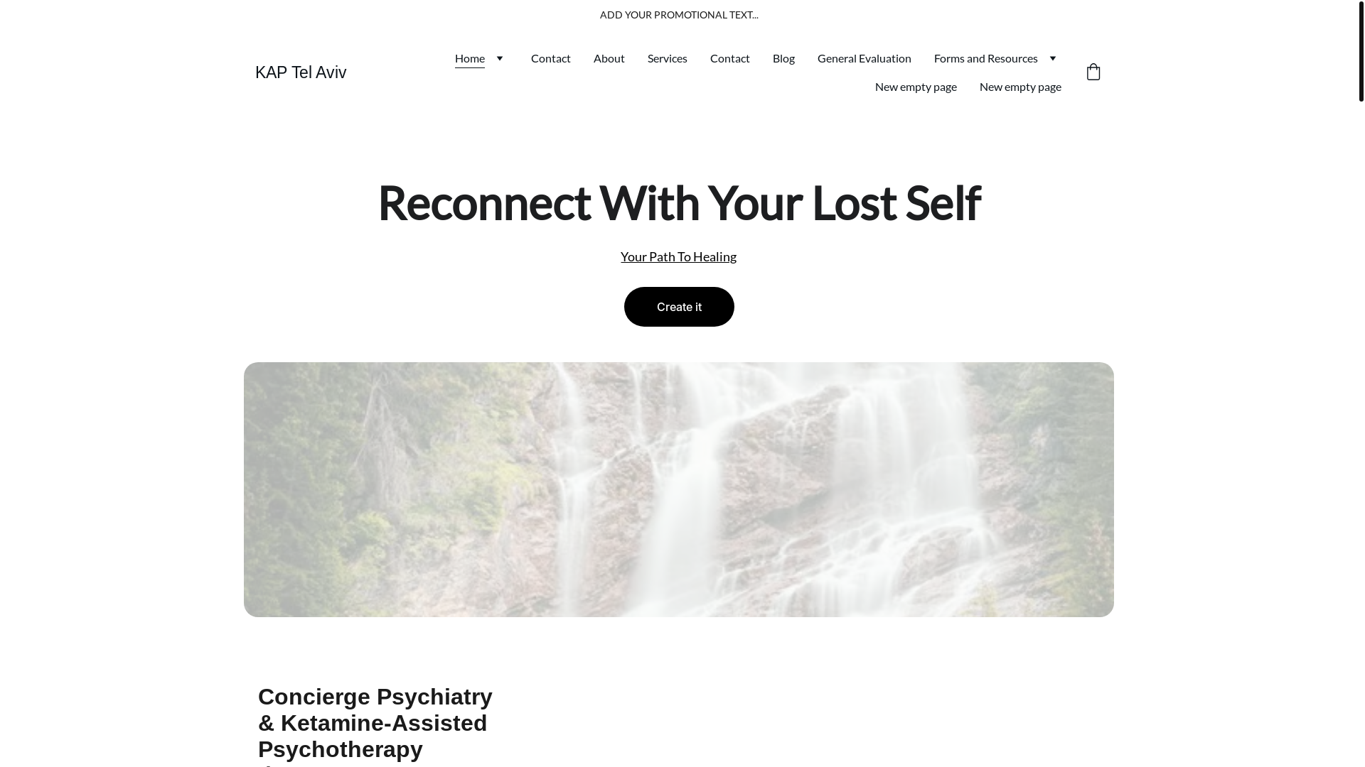 website screenshot of https://telavivkap.com/