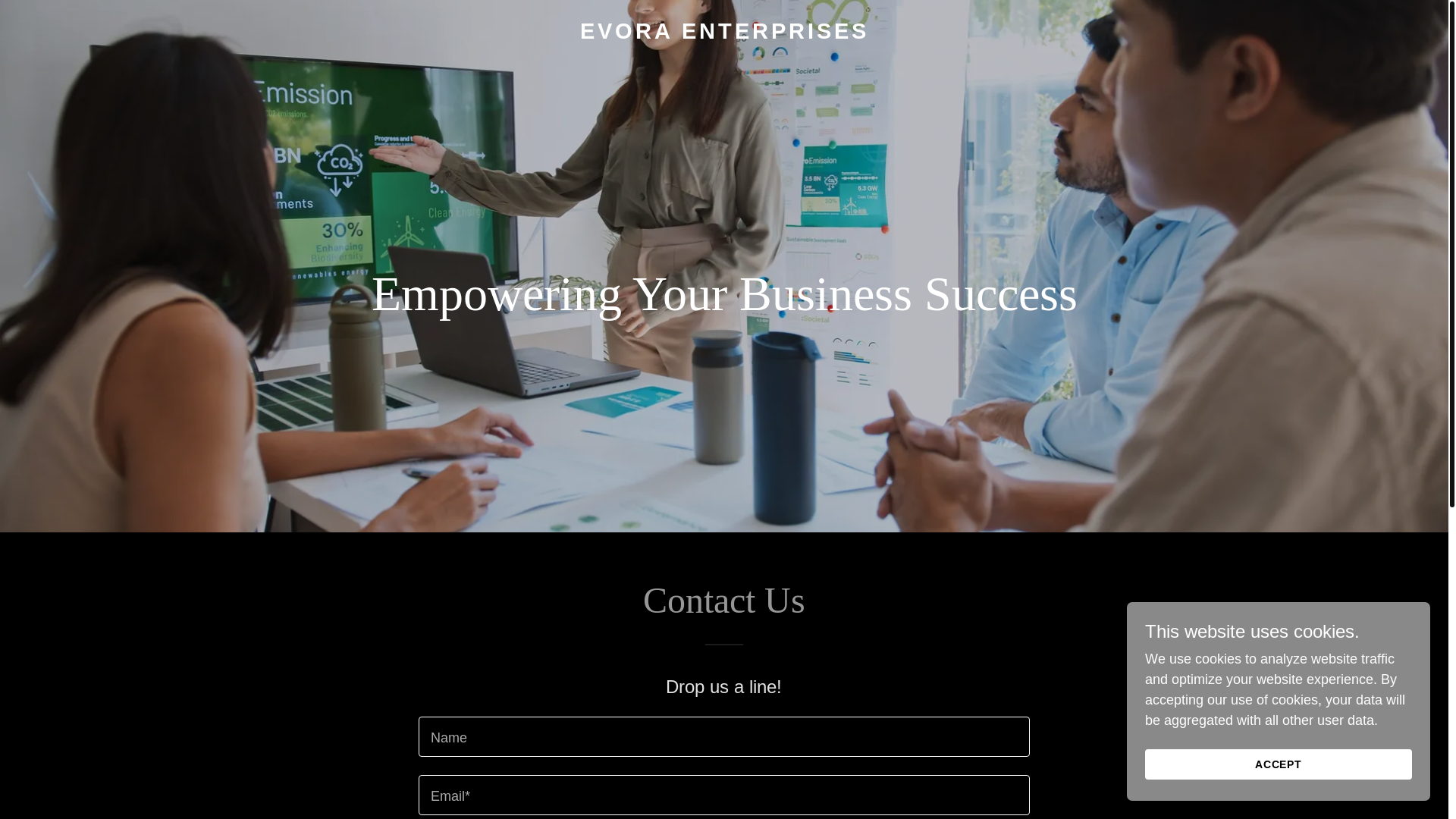 website screenshot of https://evoraenterprises.com/