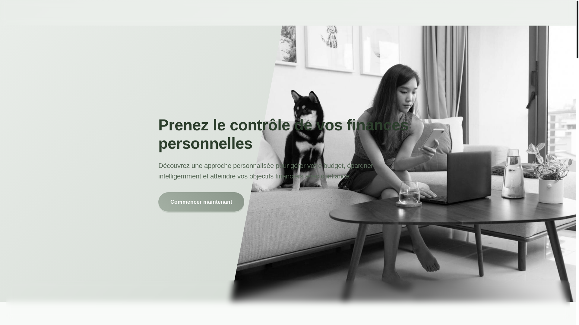 website screenshot of https://astraviontel.com/