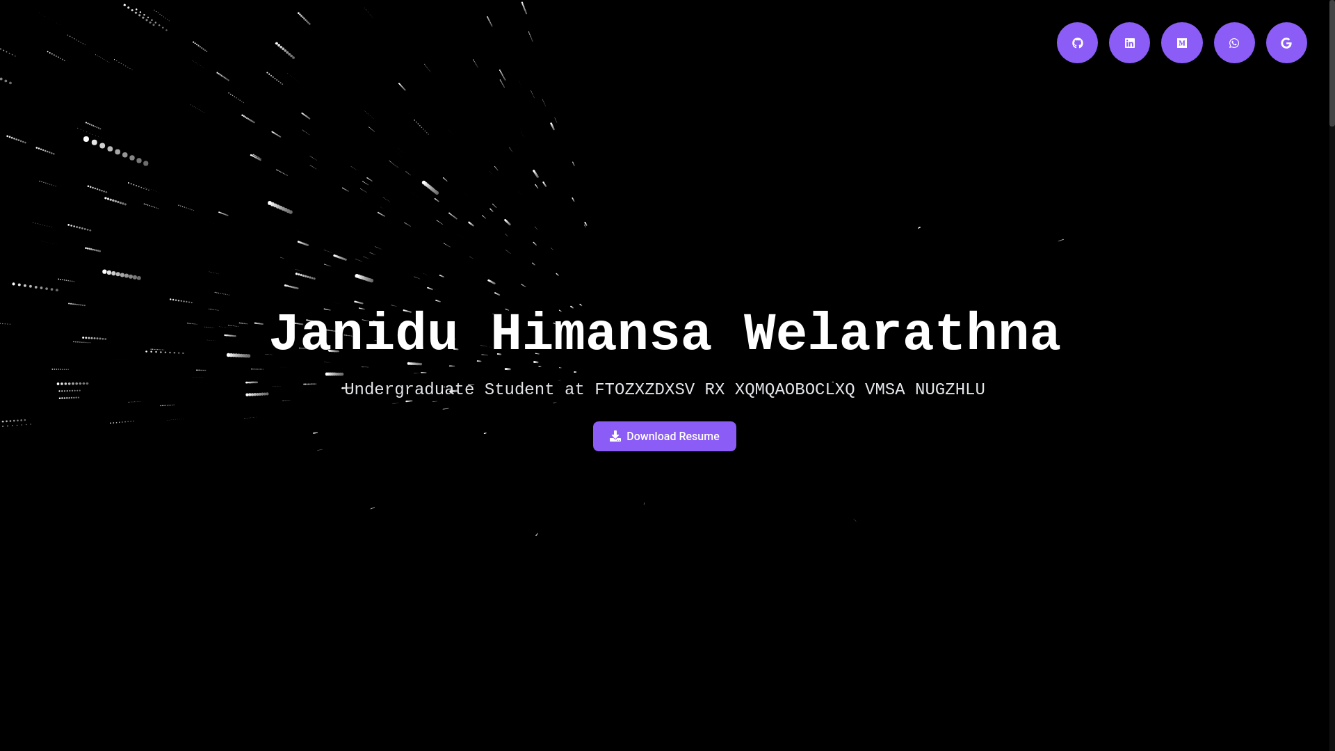 website screenshot of https://janiduwelarathna.online/