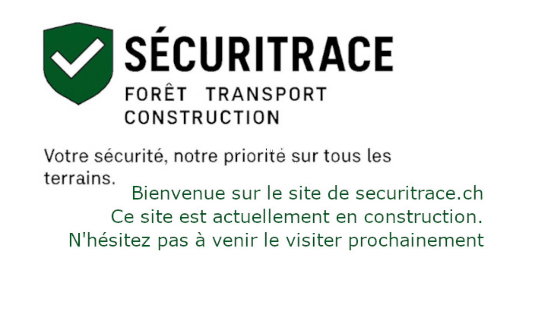 website screenshot of https://securitrace.ch/