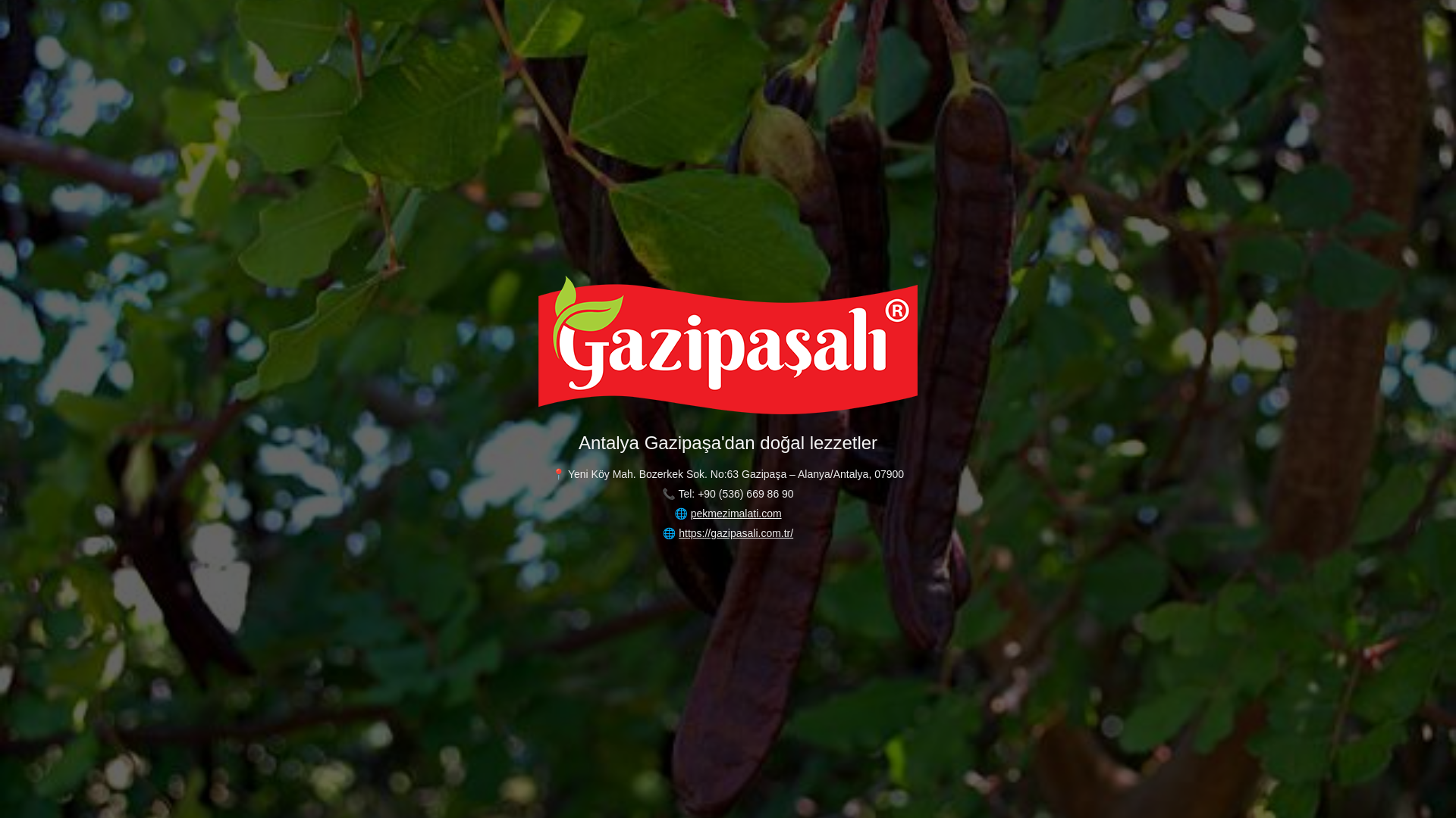 website screenshot of https://pekmezimalaticom.pages.dev/