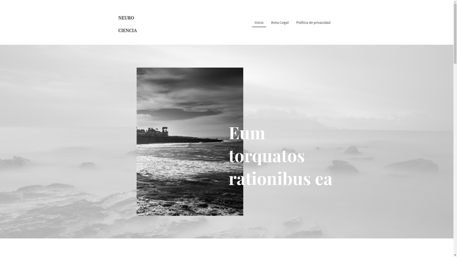 website screenshot of https://revistaneurociencia.es/