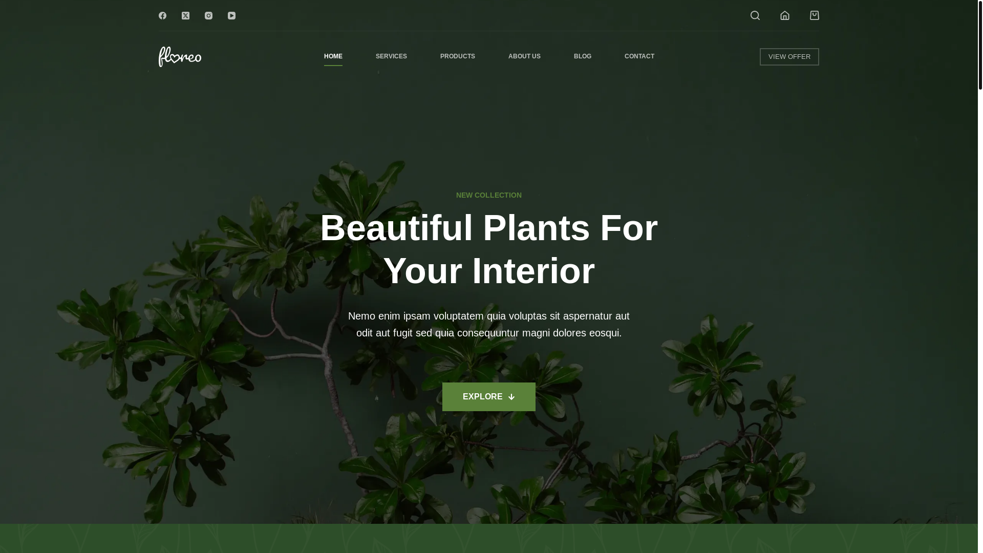 website screenshot of https://zestgrove.io/