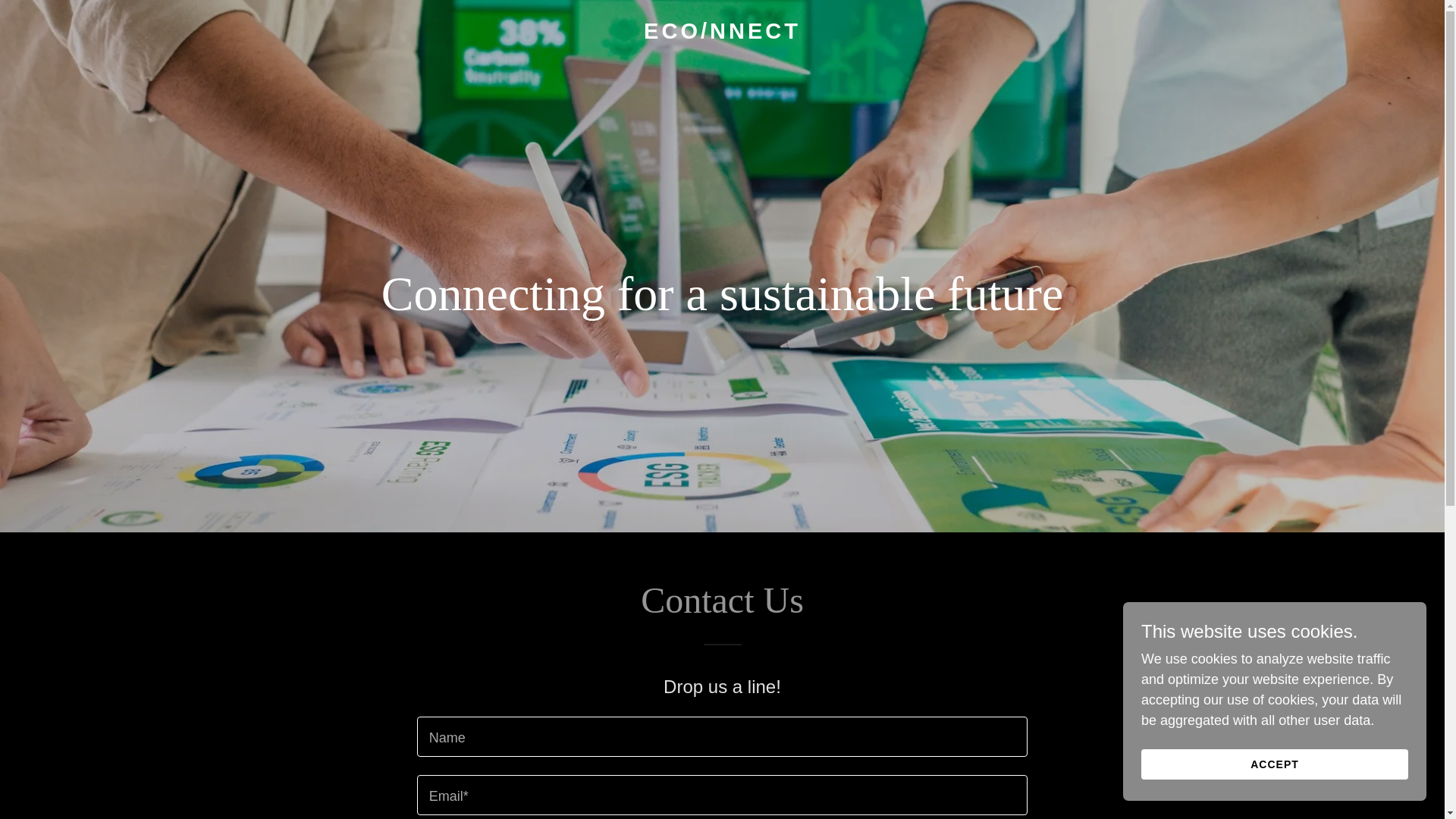 website screenshot of https://econnect.nyc/