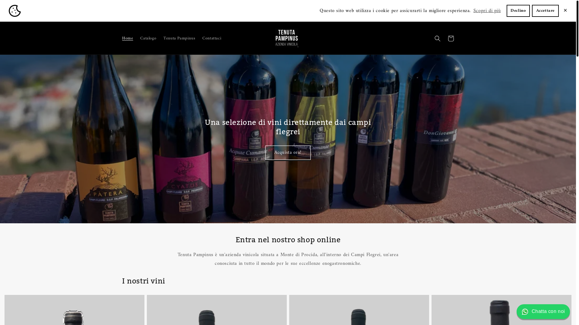 website screenshot of https://tenutapampinus.shop/