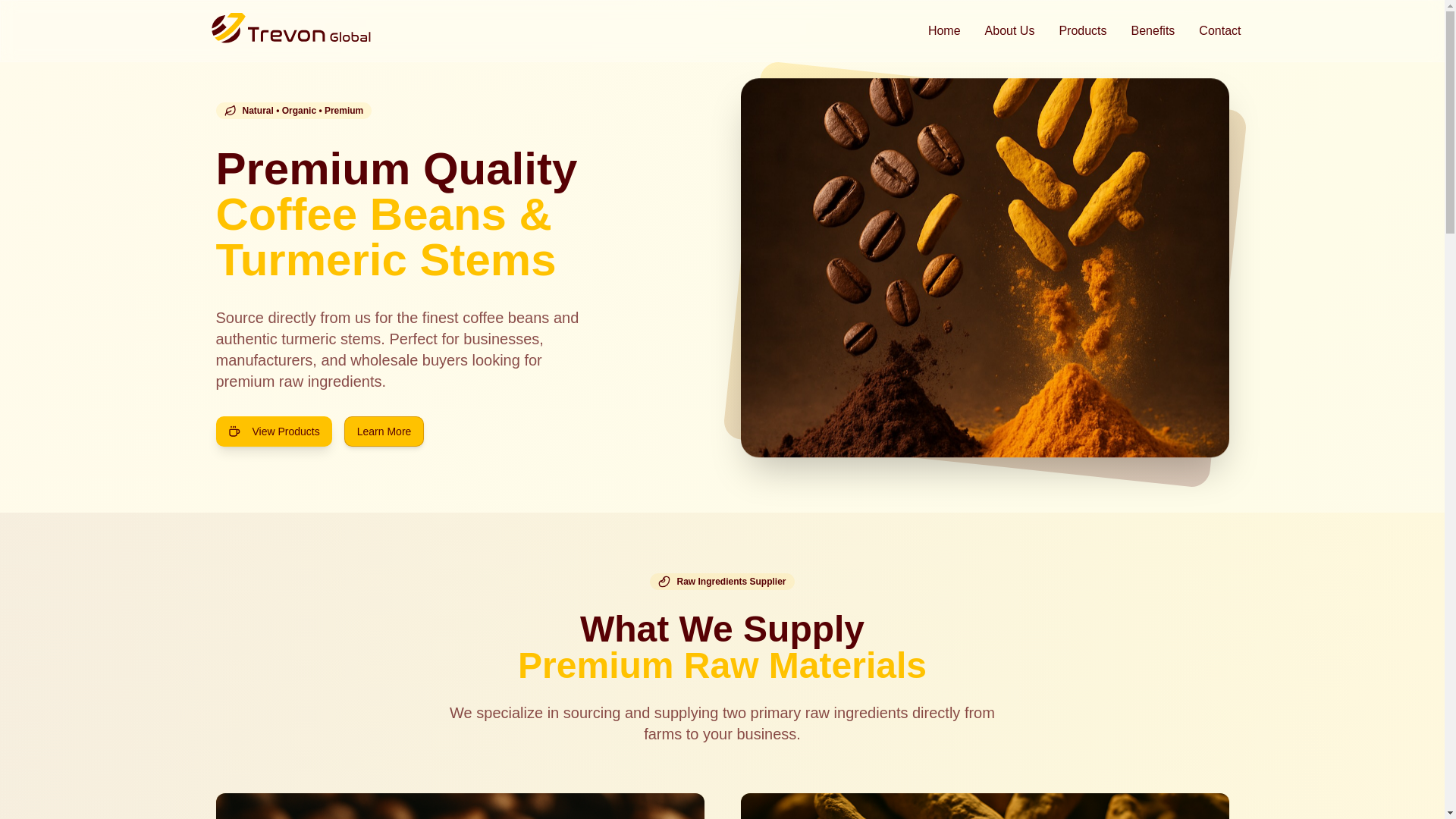 website screenshot of https://trevonglobal.pages.dev/