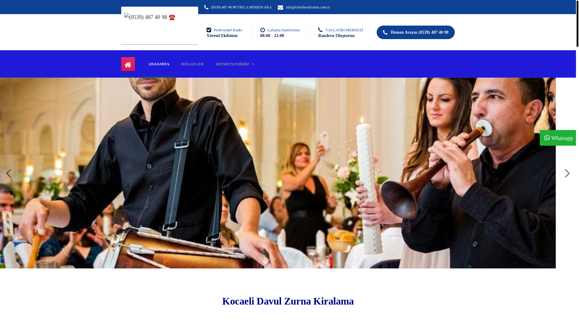 website screenshot of https://timidavulzurna.com.tr/