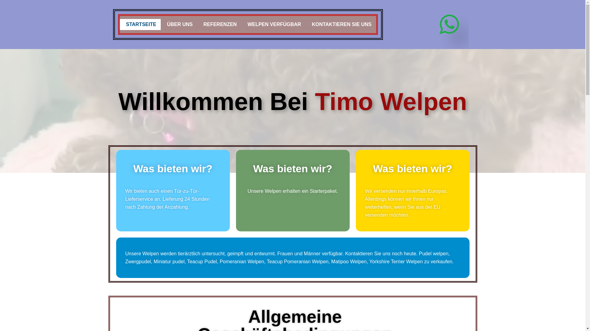 website screenshot of https://timowelpenn.cam/