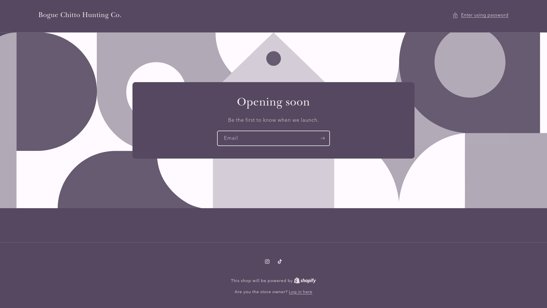 website screenshot of https://boguechittohuntingco.com/