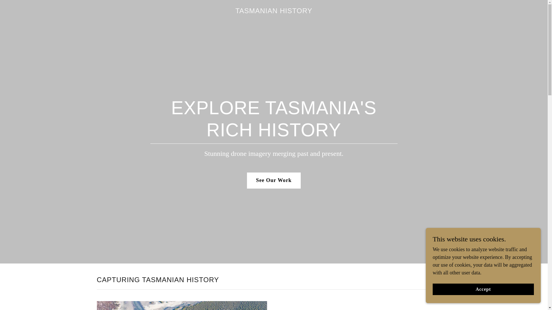 website screenshot of https://tasmanianhistory.net/
