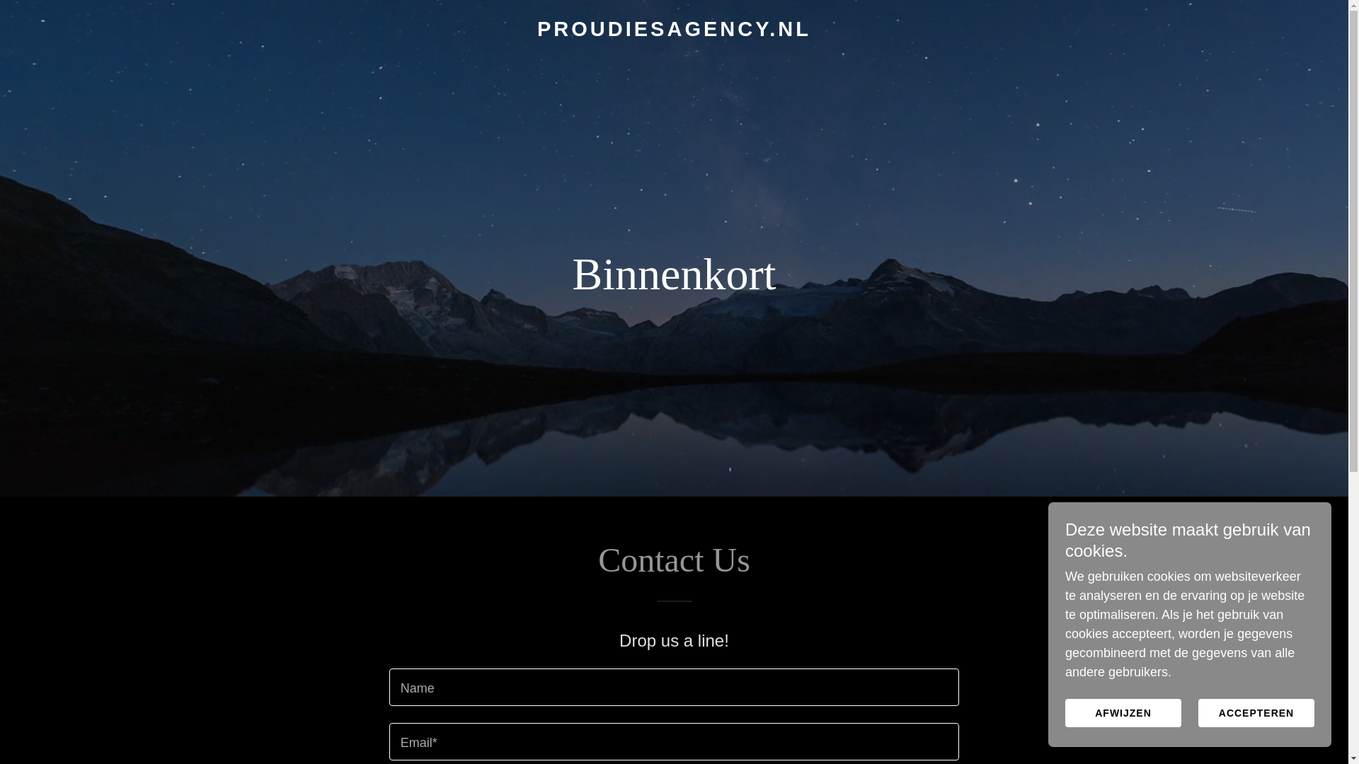 website screenshot of https://proudiesagency.nl/