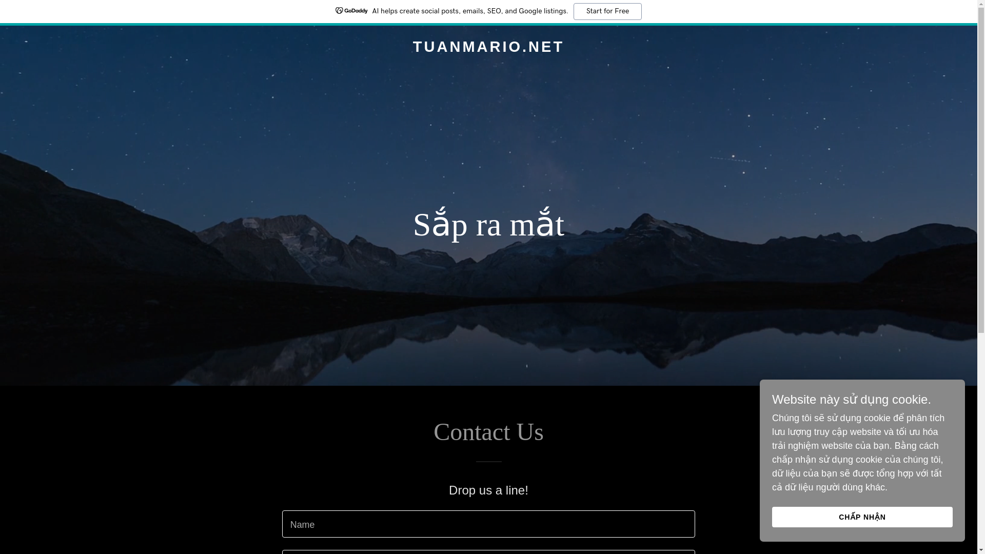 website screenshot of https://tuanmario.net/