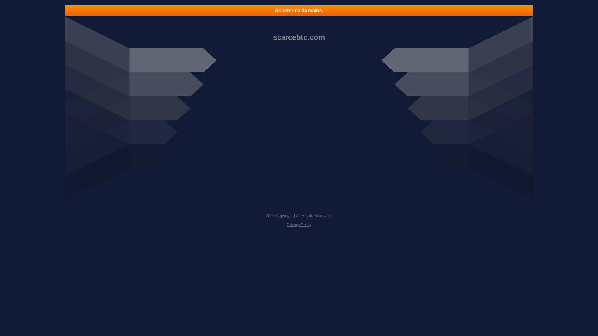 website screenshot of https://scarcebtc.com/