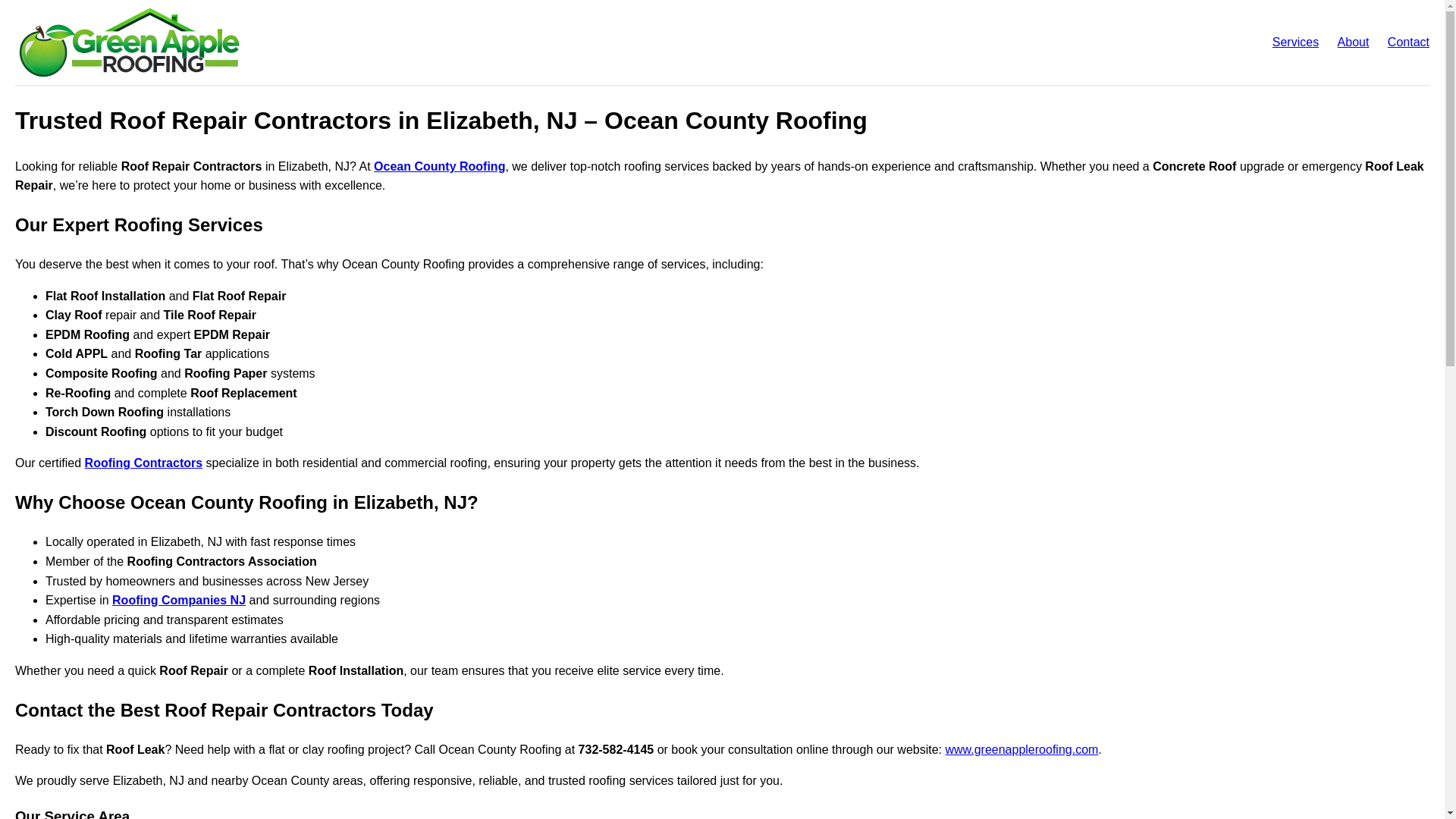 website screenshot of https://trustedroofrepaircontractorsinelizabethnjoceancountyroofin.pages.dev/
