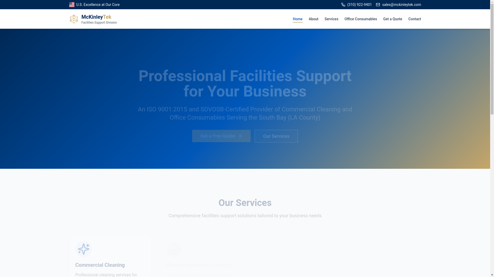 website screenshot of https://mckinleytekfsd.com/