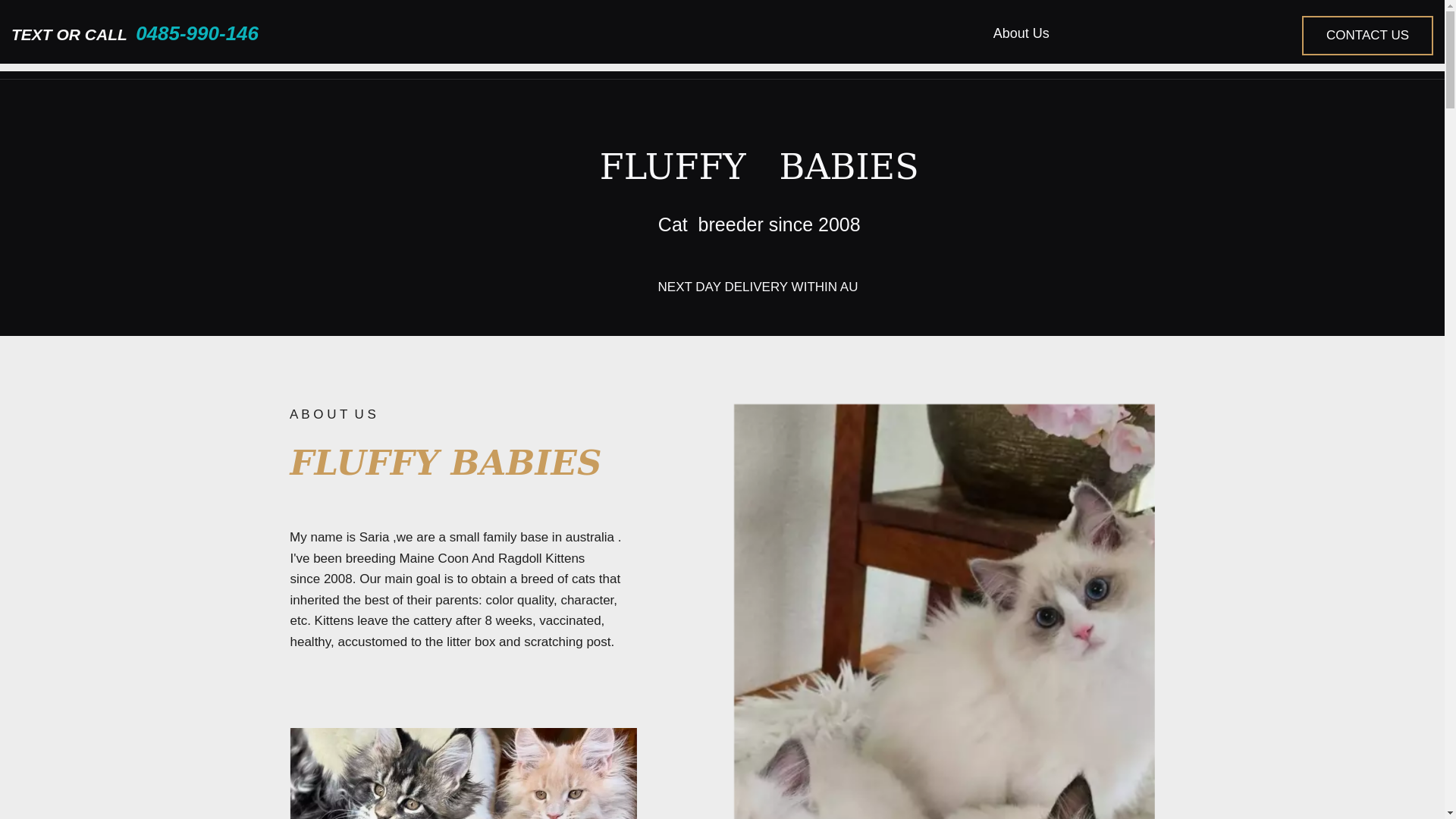 website screenshot of https://angelinecattery.com/