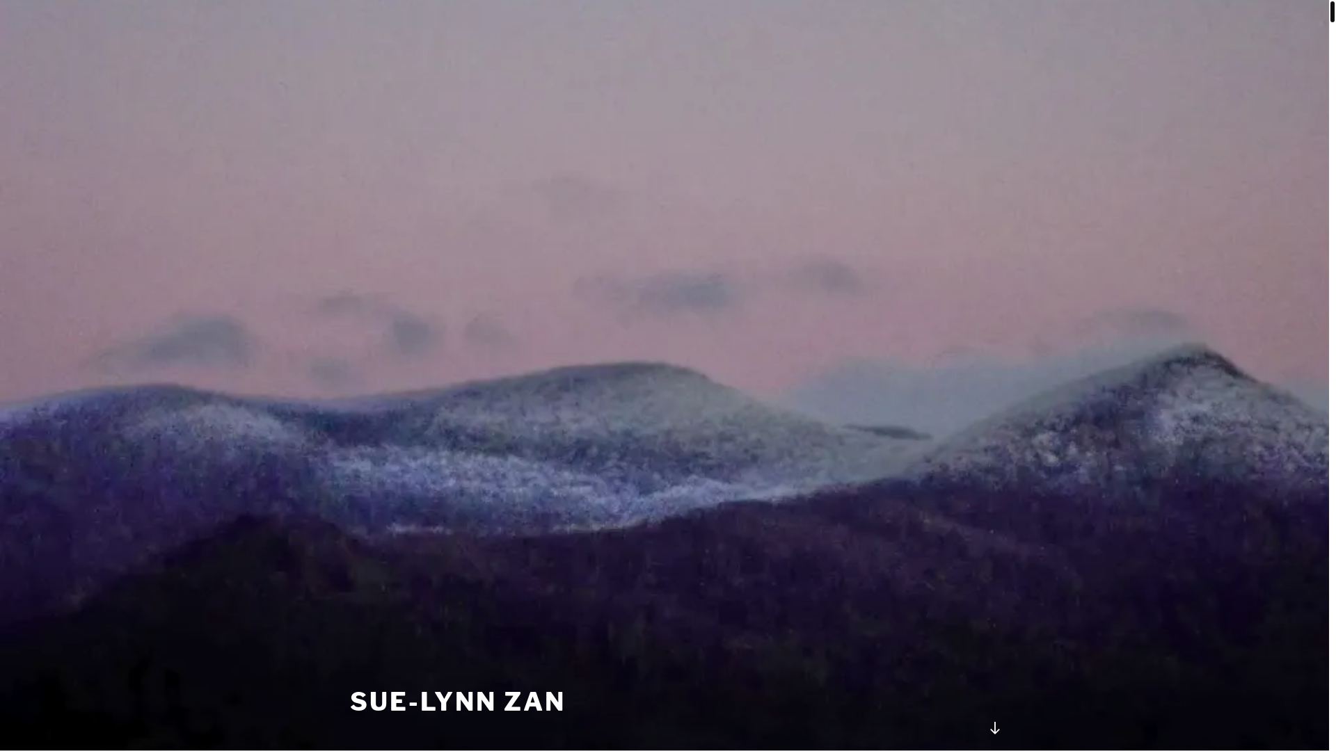 website screenshot of https://sue-lynnzan.net/