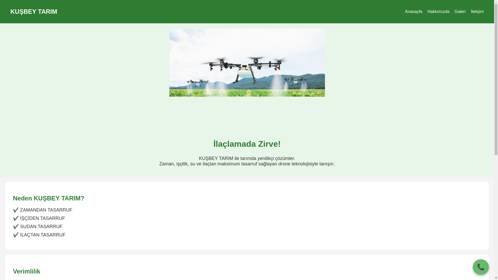 website screenshot of https://malatyadronilaclama.com/