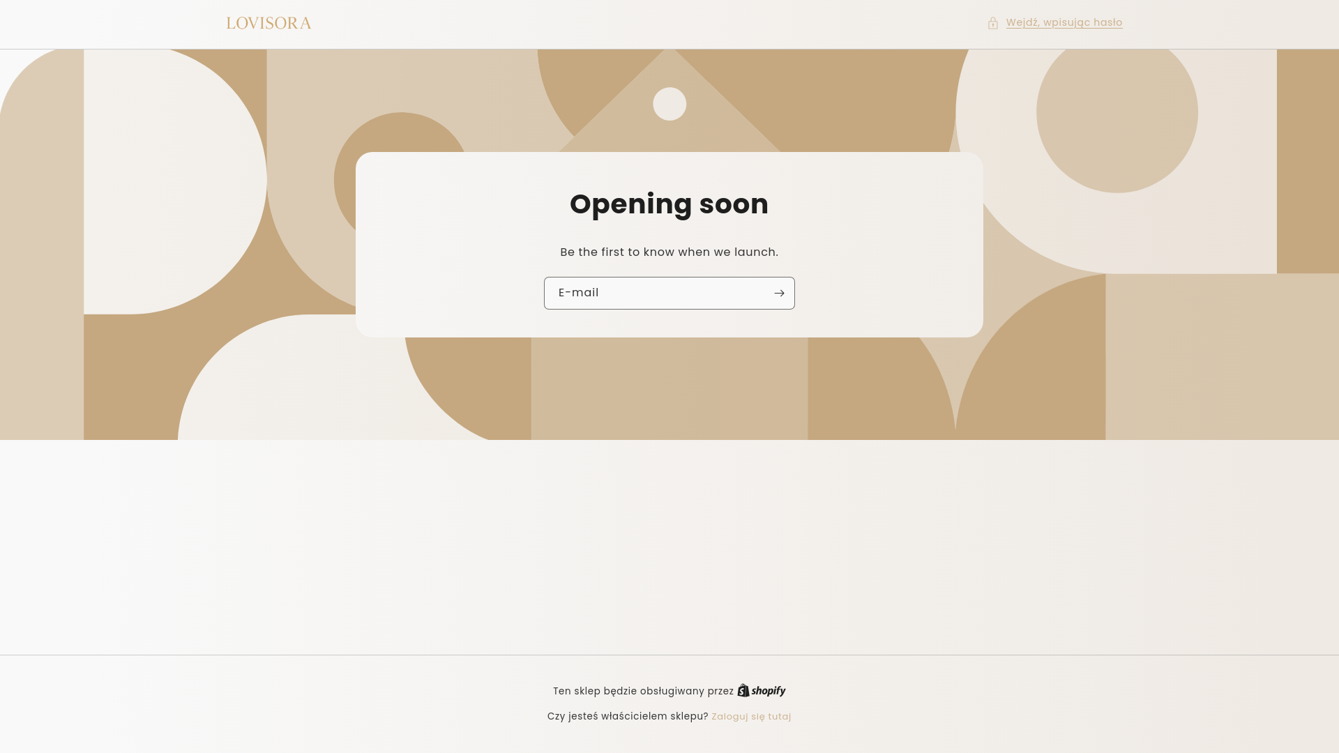 website screenshot of https://lovisora.pl/