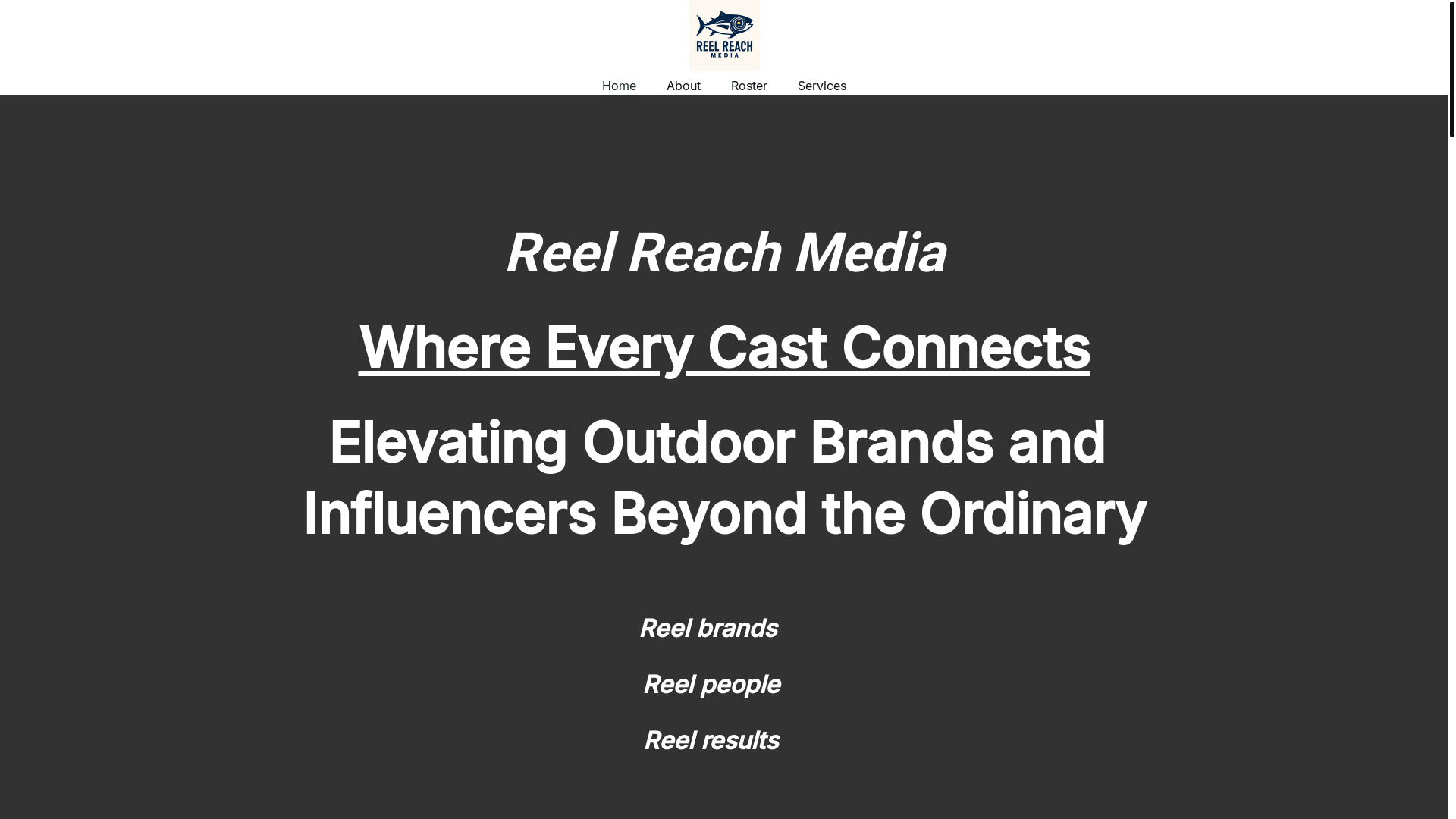 website screenshot of https://reelreachmarketing.com/