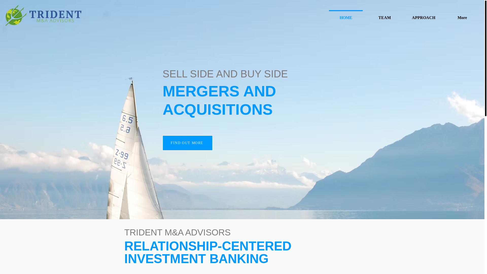 website screenshot of https://tridentmapartners.info/