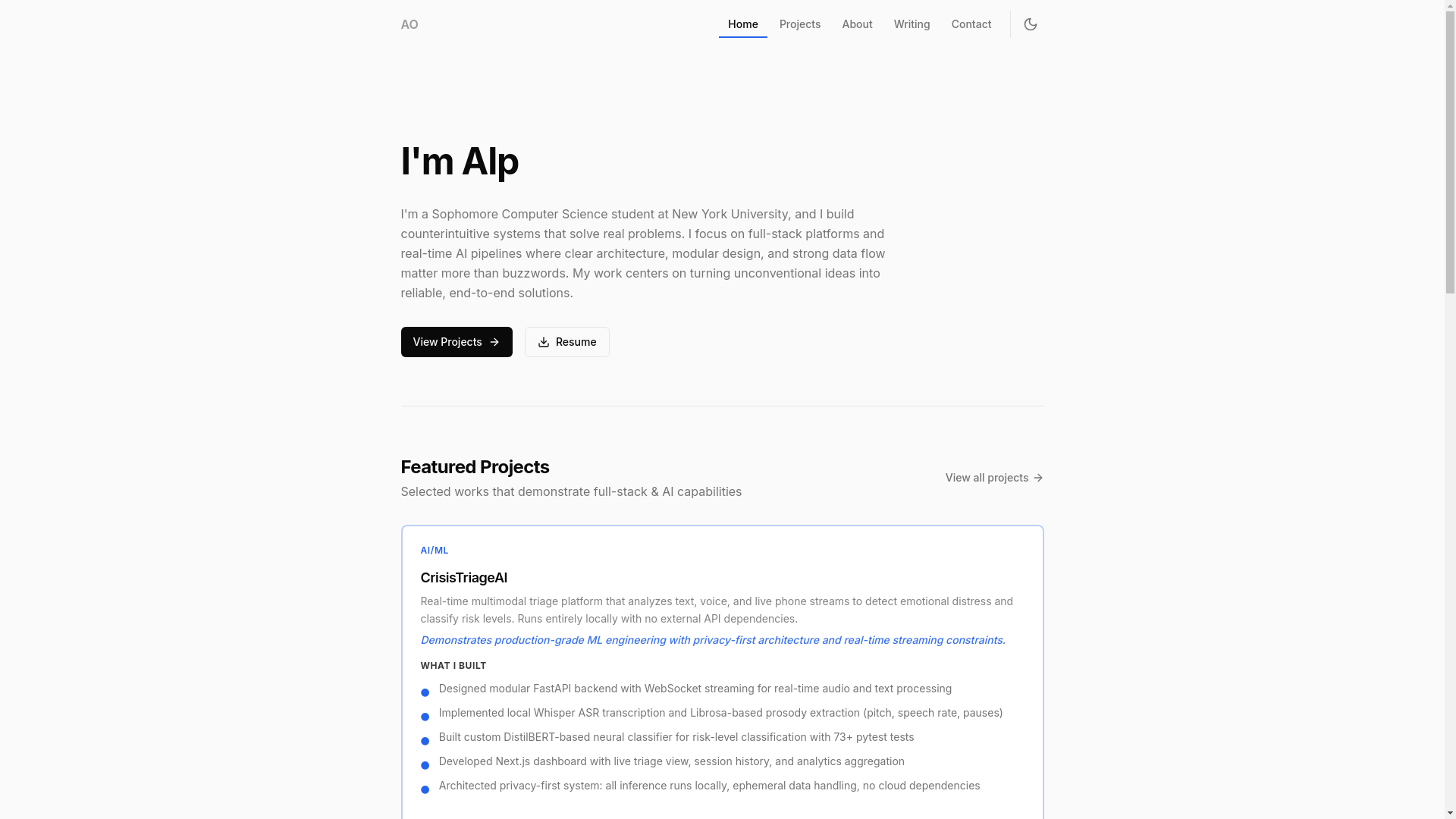 website screenshot of https://alpozbay.dev/