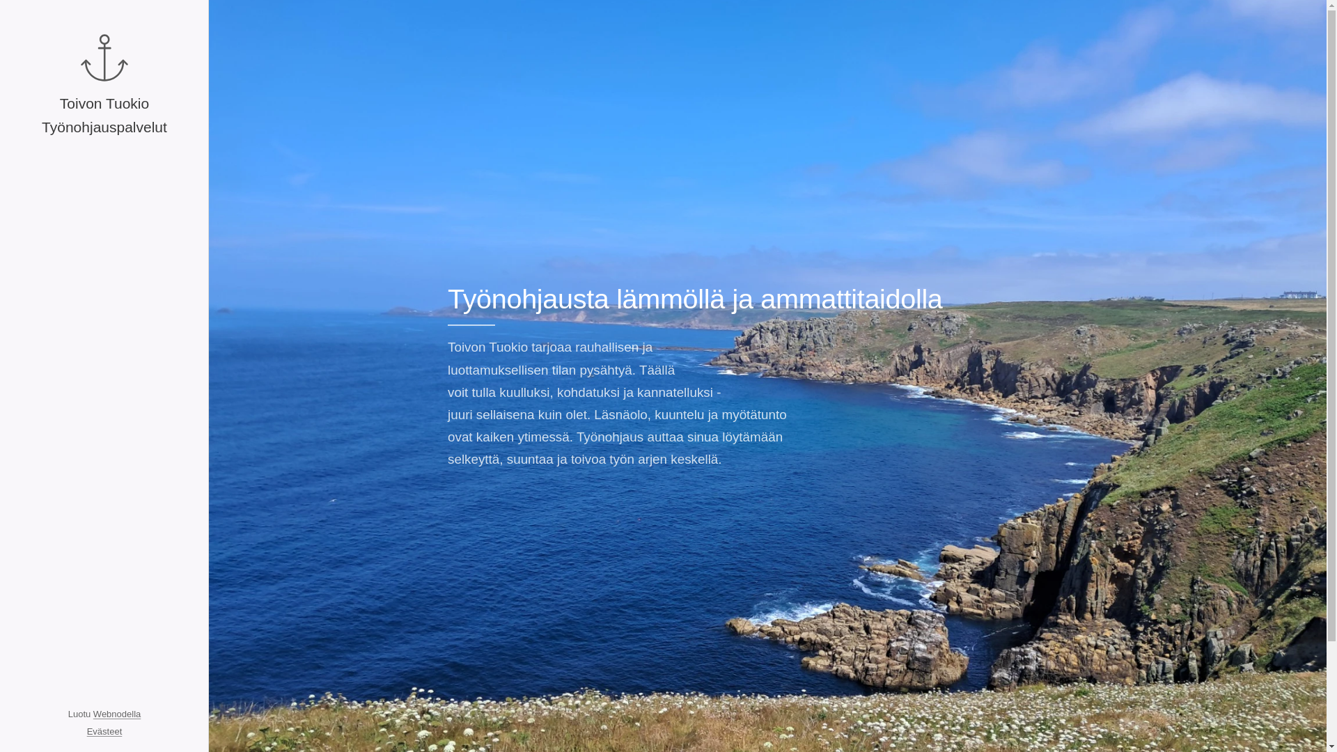 website screenshot of https://toivontuokio.fi/