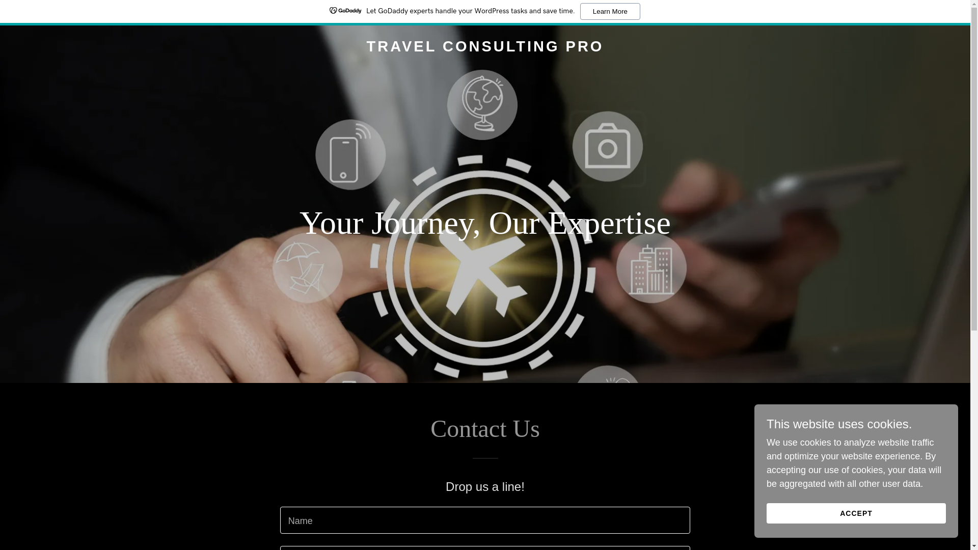 website screenshot of https://travelconsultingpro.com/
