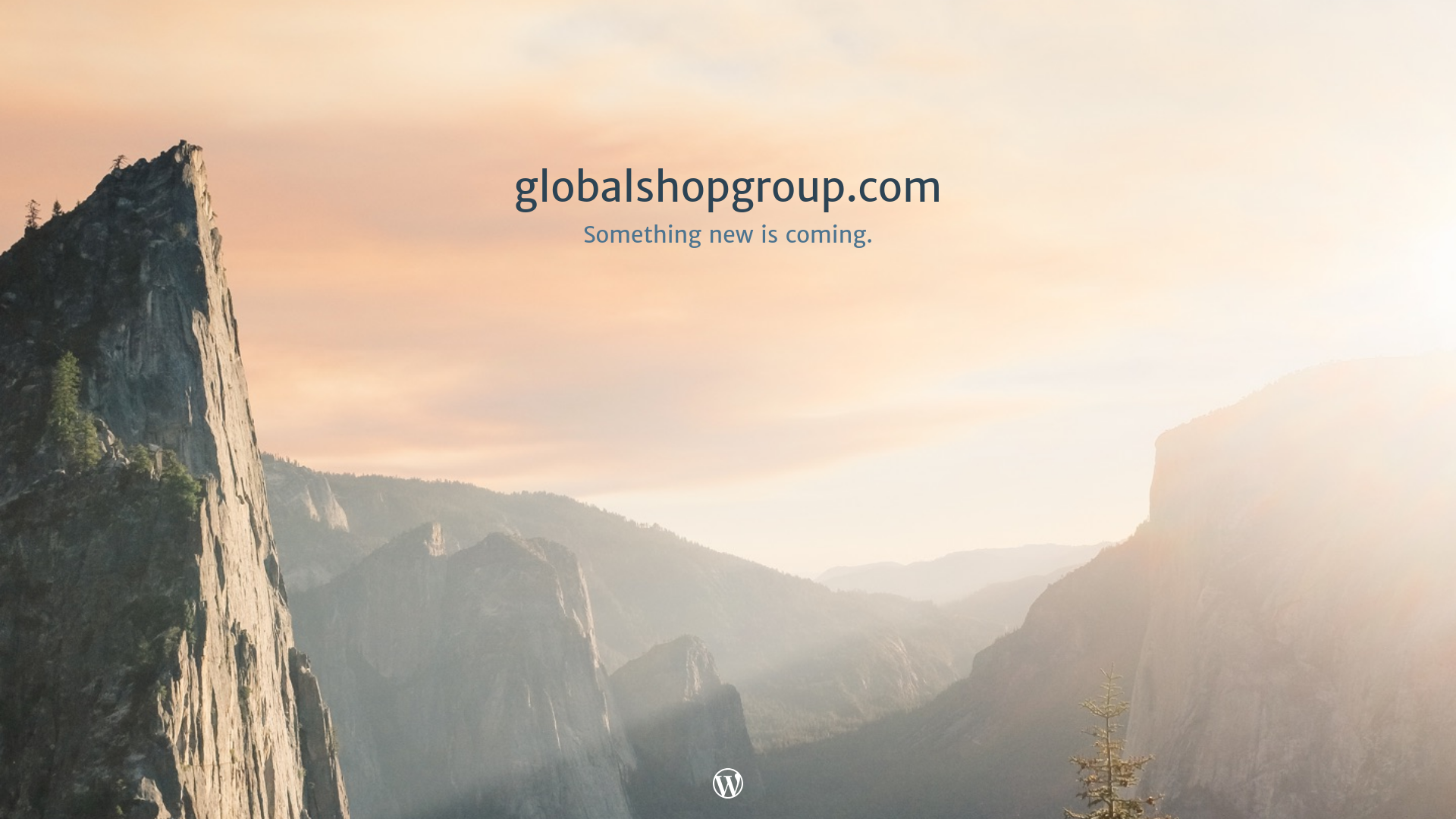 website screenshot of https://globalshopgroup.com/